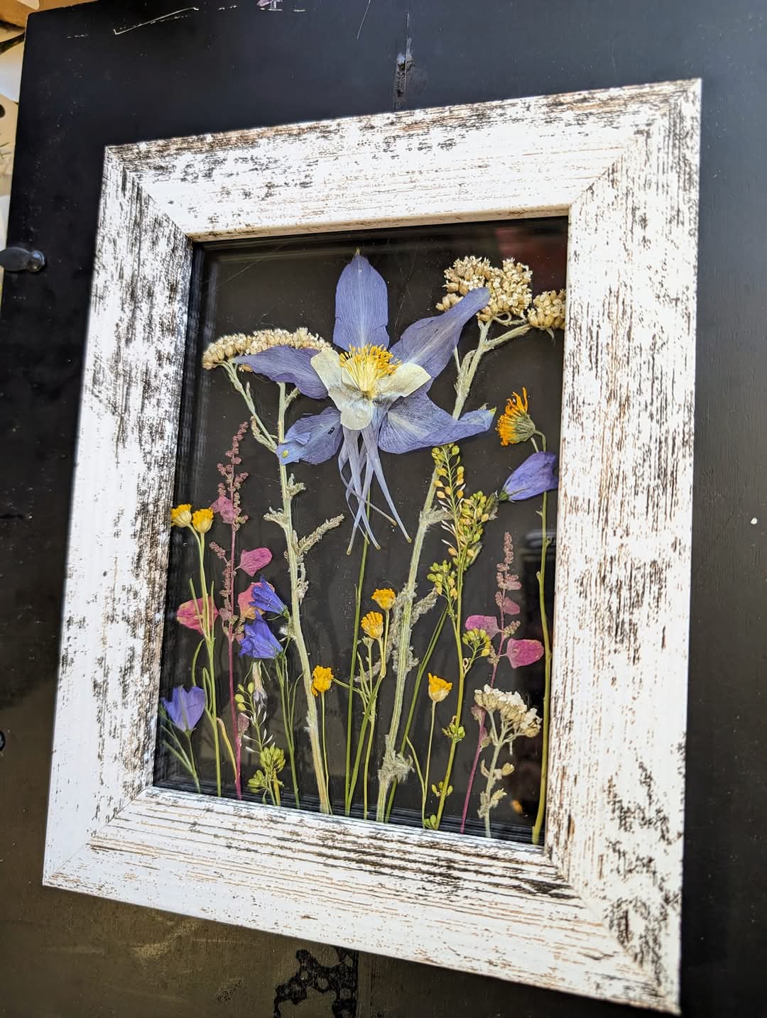 Custom Colorado Wildflower Window Statement Piece