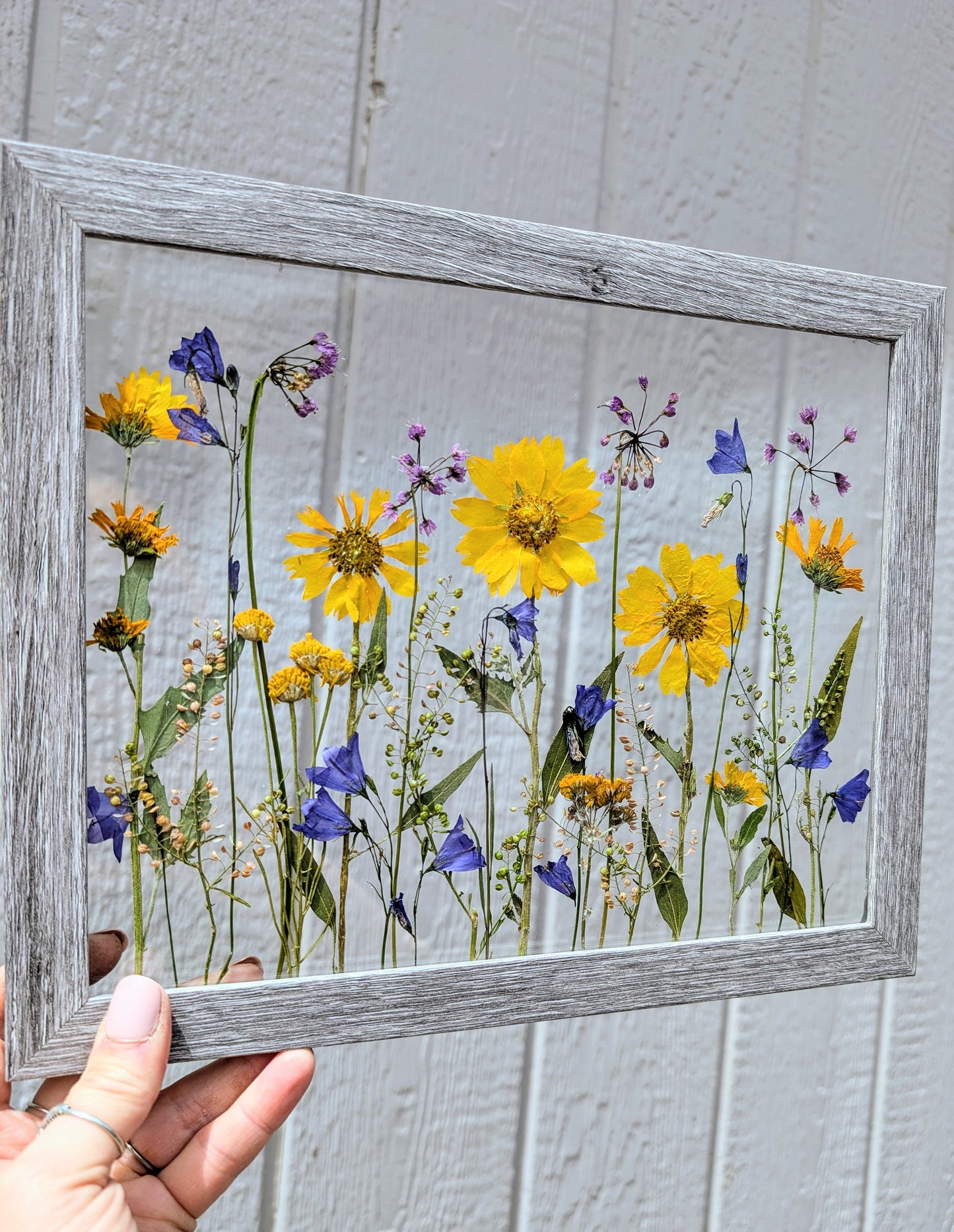 Colorado Wildflower Window Statement Piece
