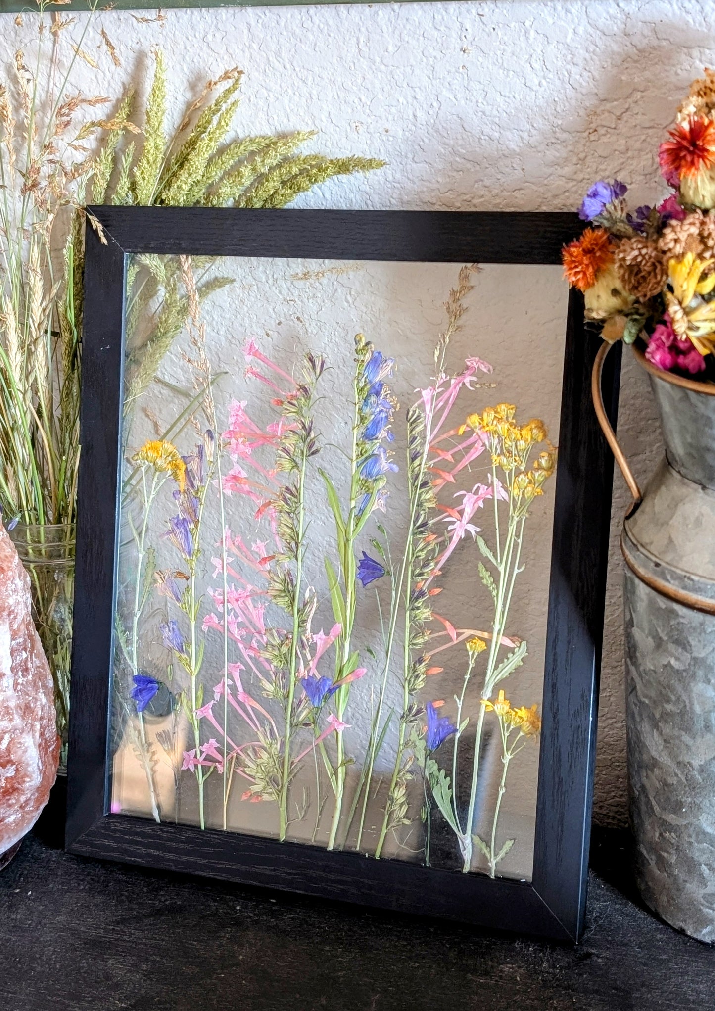 Columbine Wildflower Window