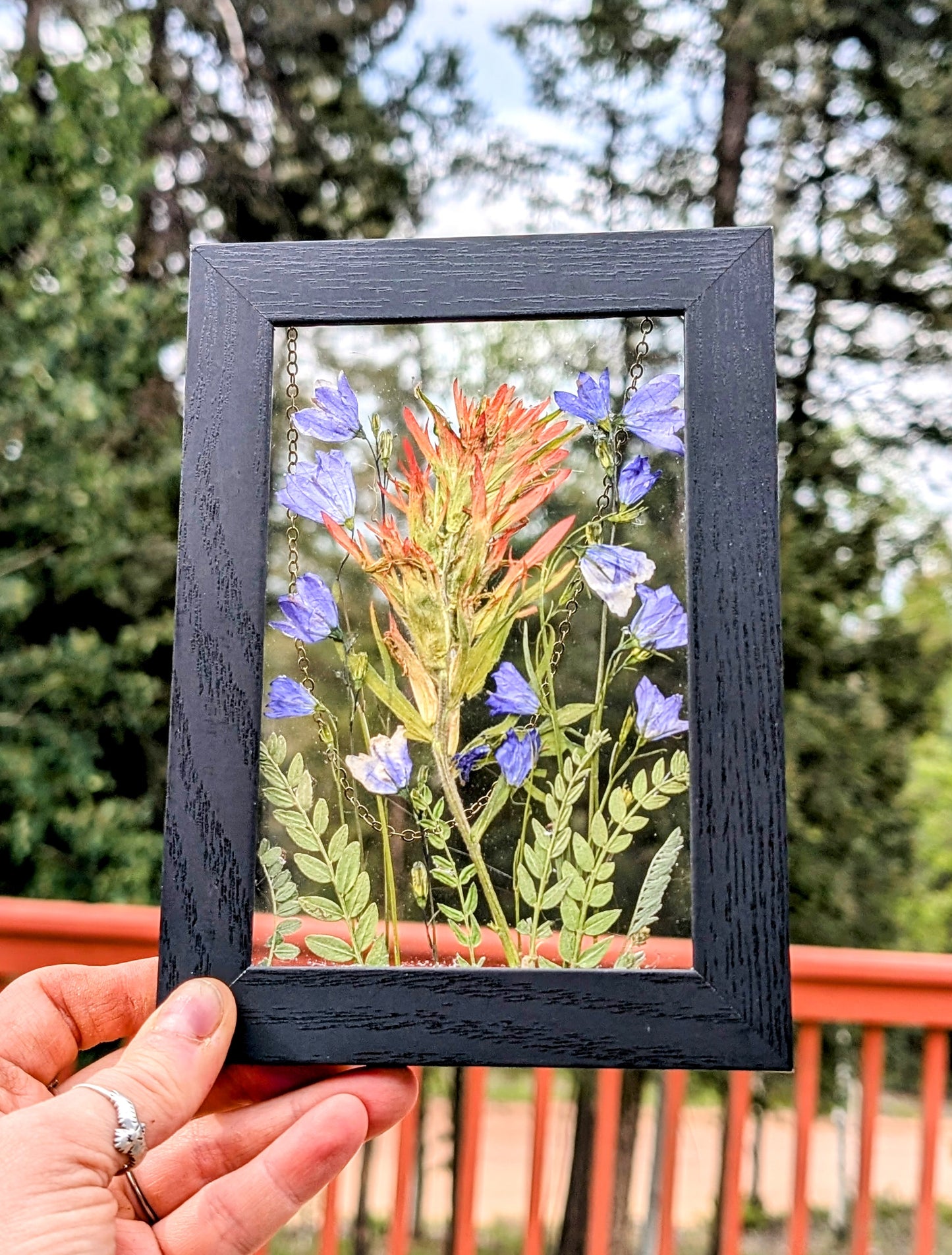 Custom Colorado Wildflower Window Statement Piece