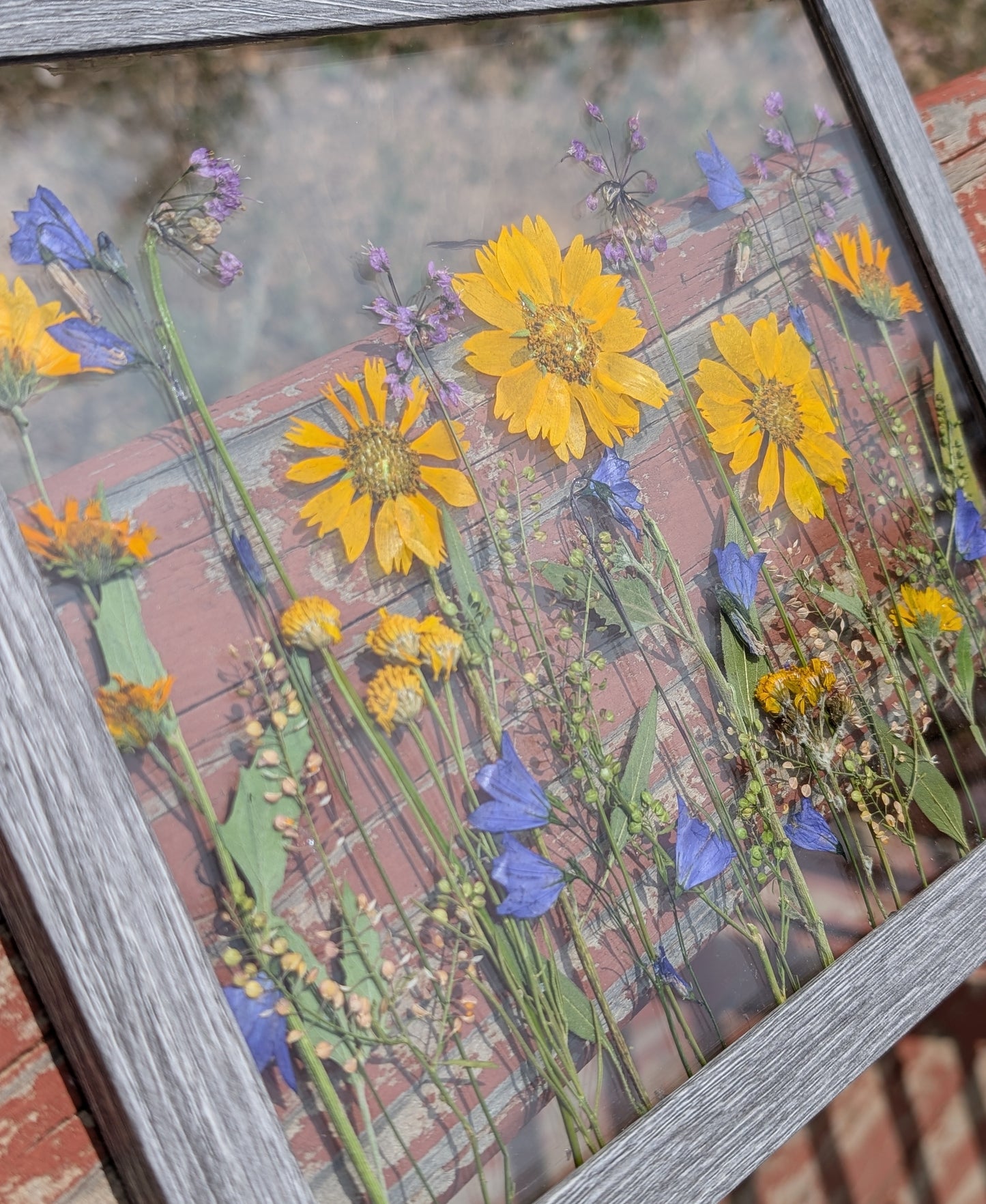 Colorado Wildflower Window Statement Piece