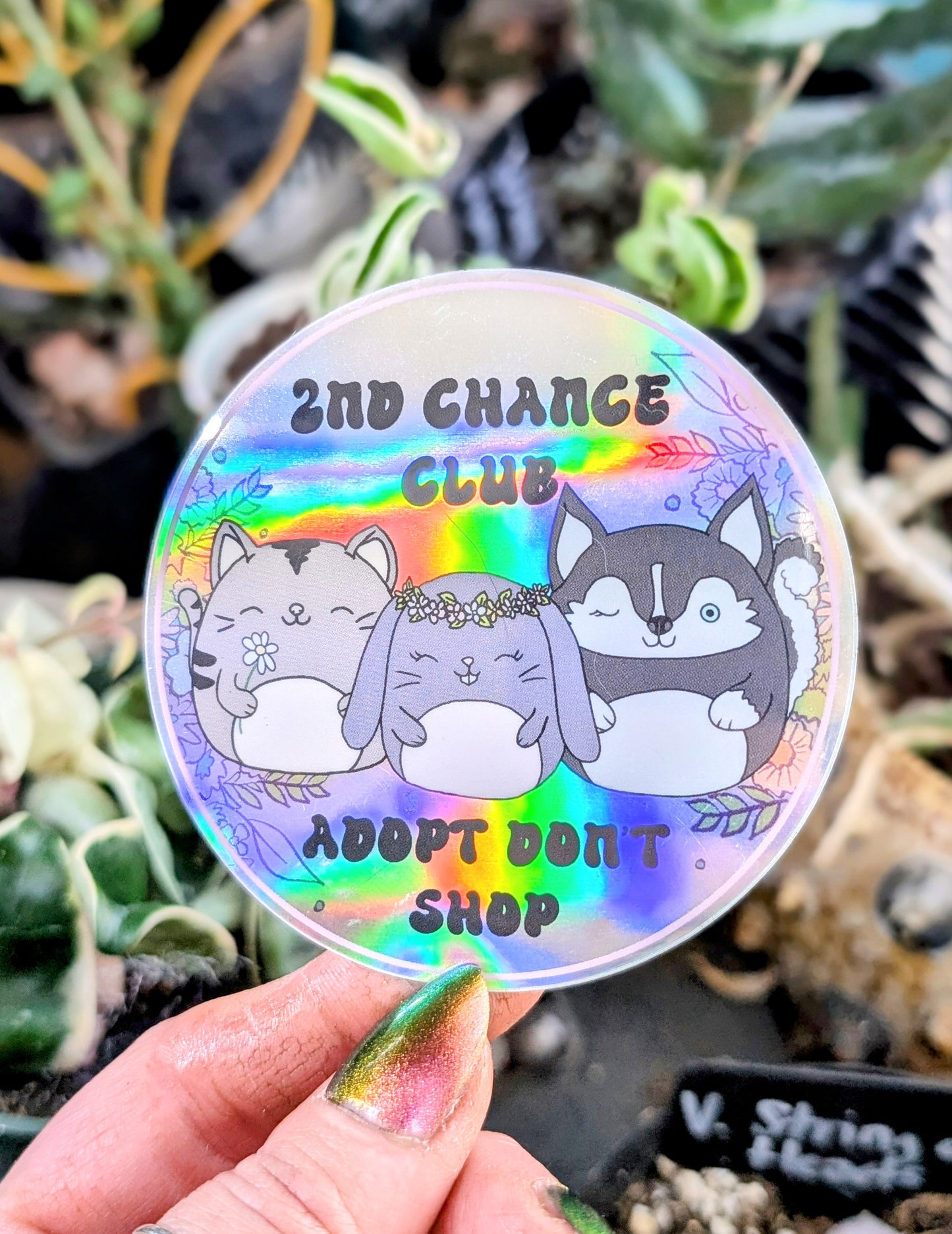 Holographic Vinyl Sticker, Adopt Don't Shop, Foster Animal Fundraiser, All Proceeds Go To Vet Care