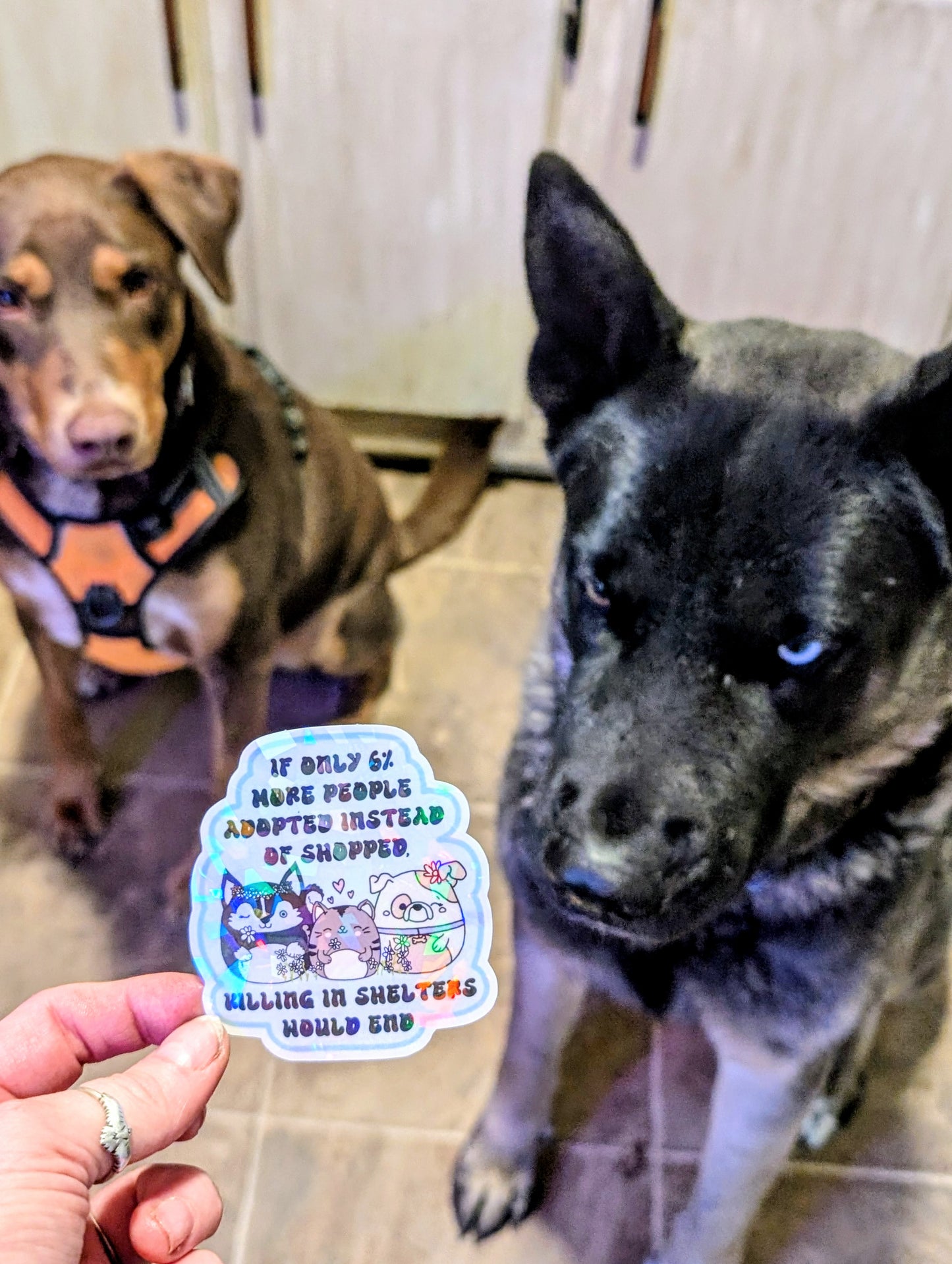 Adopt Don't Shop Feminist Vinyl Sticker