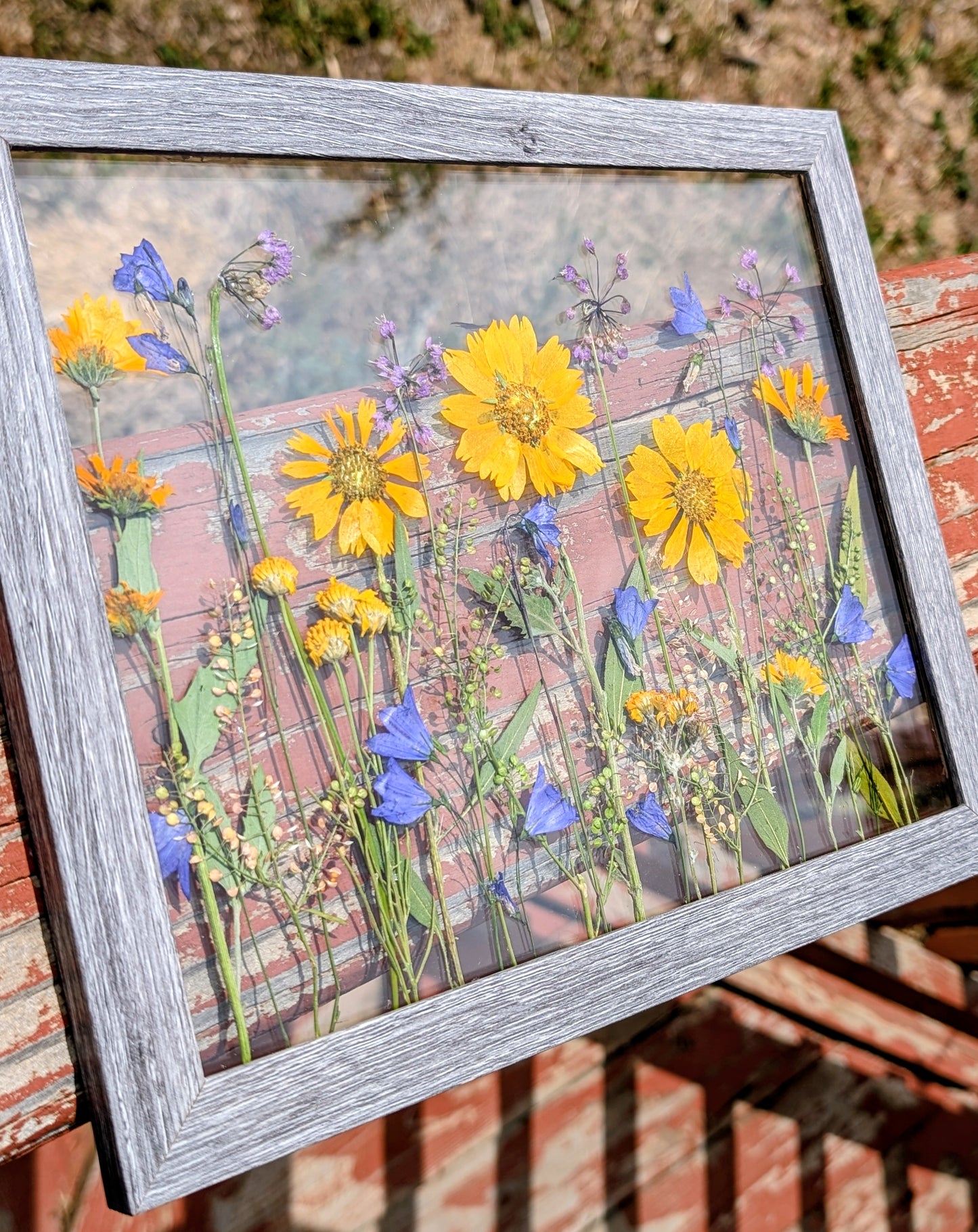 Colorado Wildflower Window Statement Piece