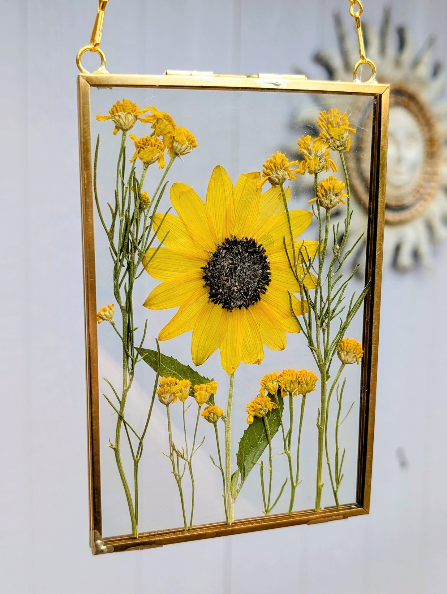 Wild Sunflower 4x6" Wildflower Window