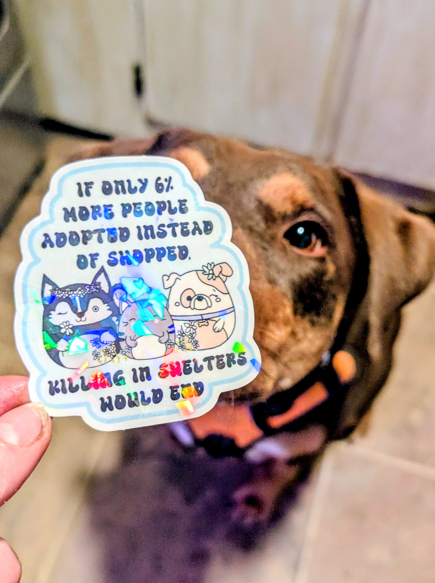 Adopt Don't Shop Feminist Vinyl Sticker
