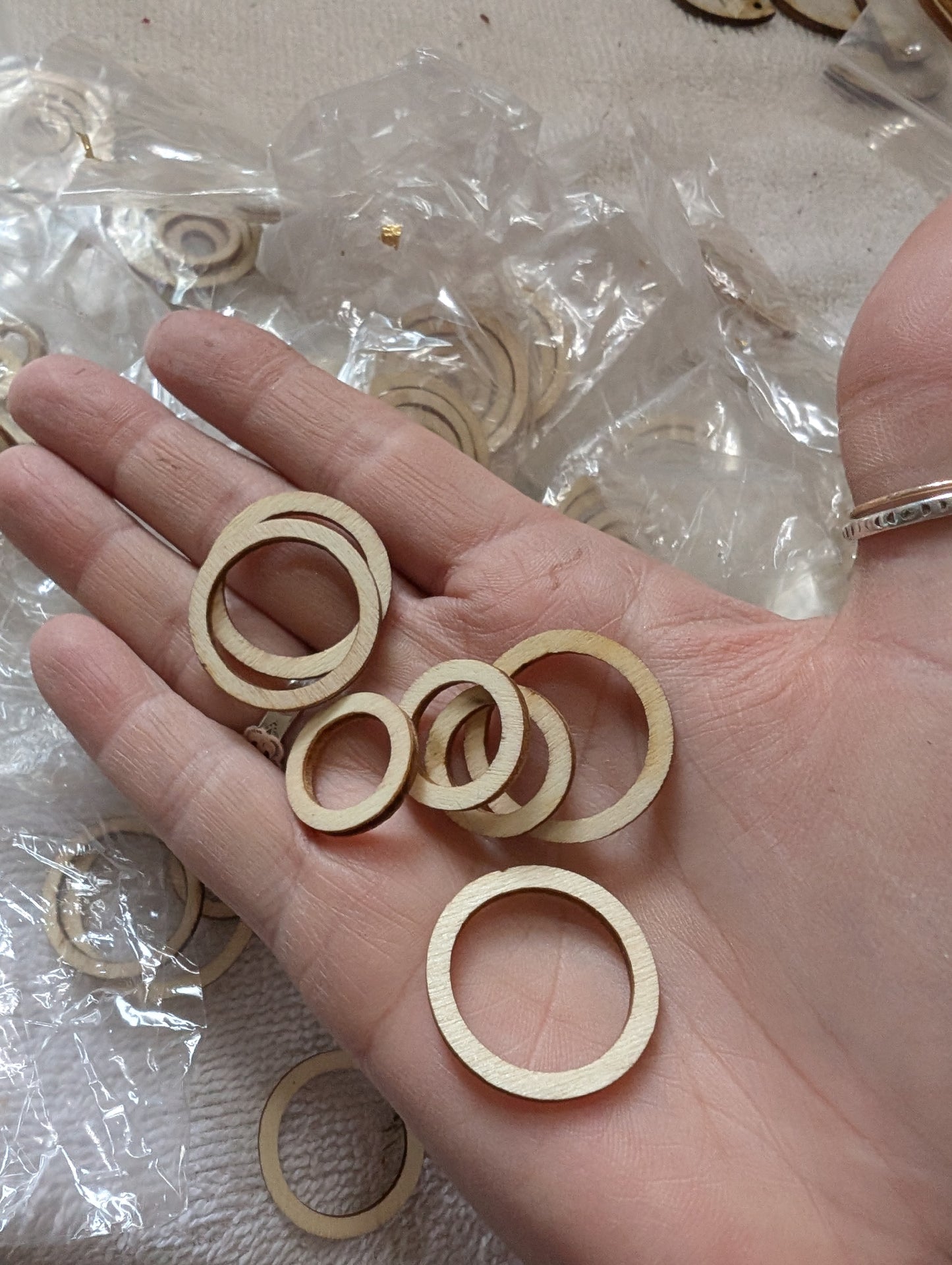 Assorted Small Wood Circles