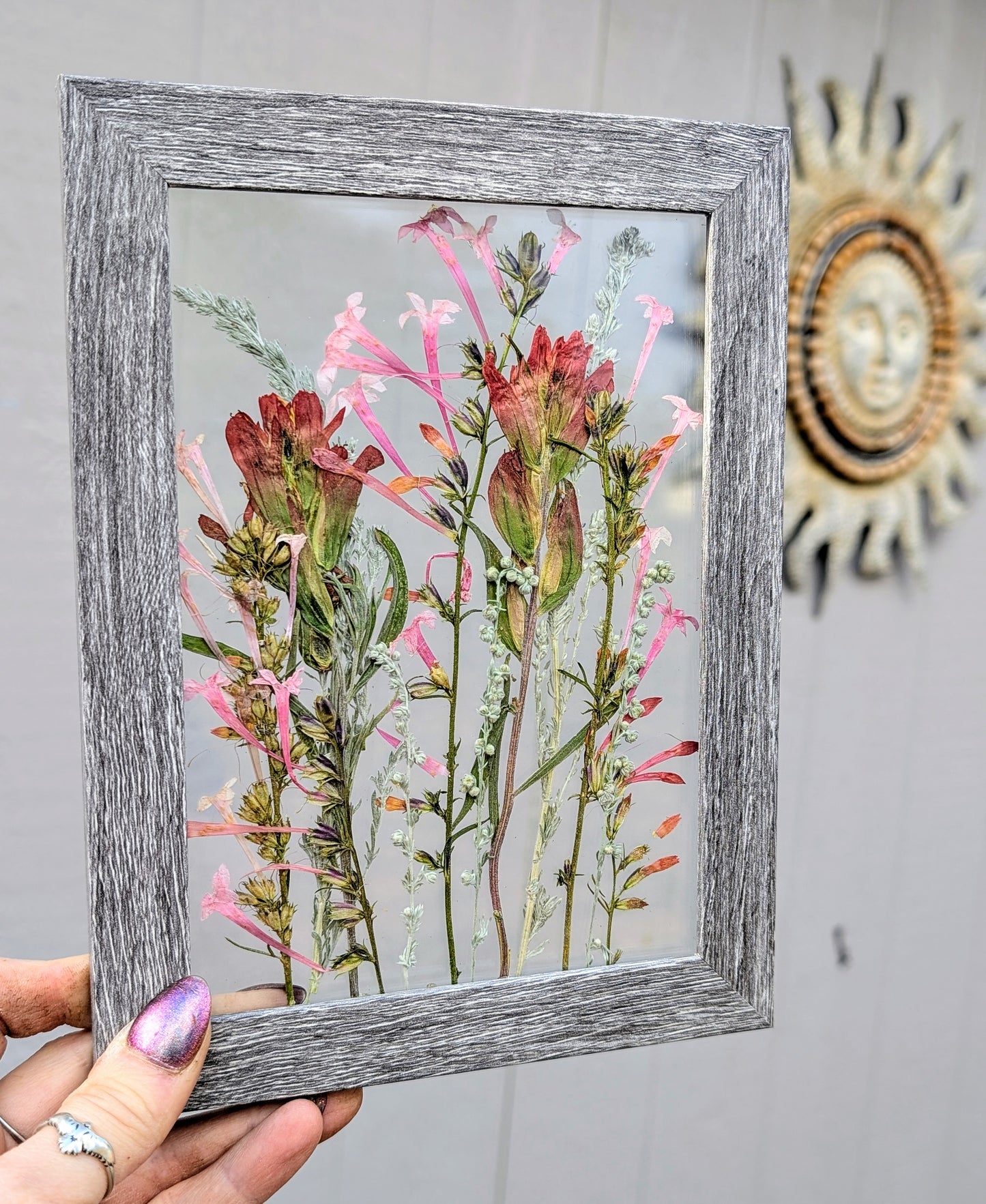 Colorado Indian Paintbrushes and Fairy Trumpets Wildflower Window