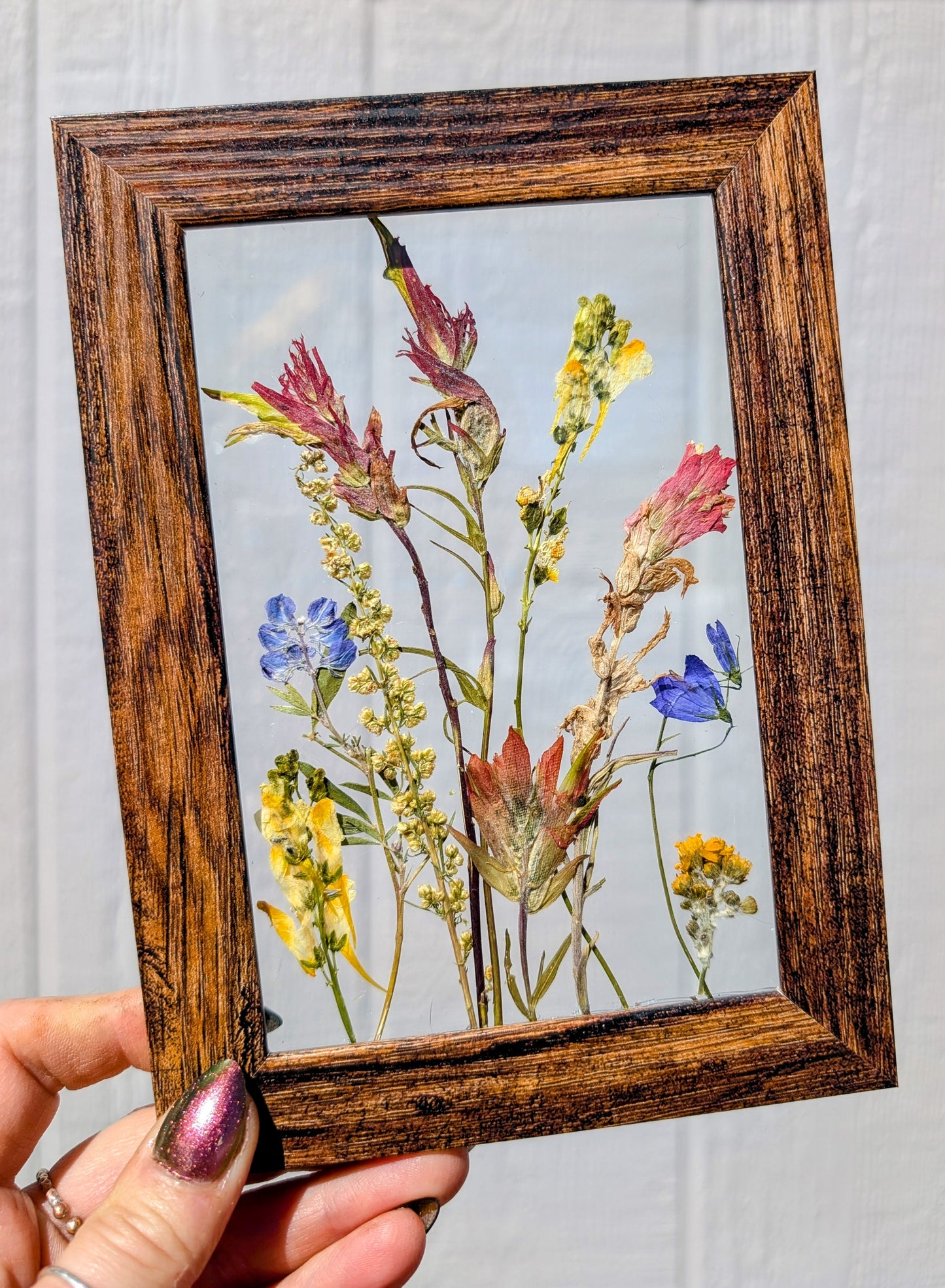 Custom Colorado Wildflower Window Statement Piece