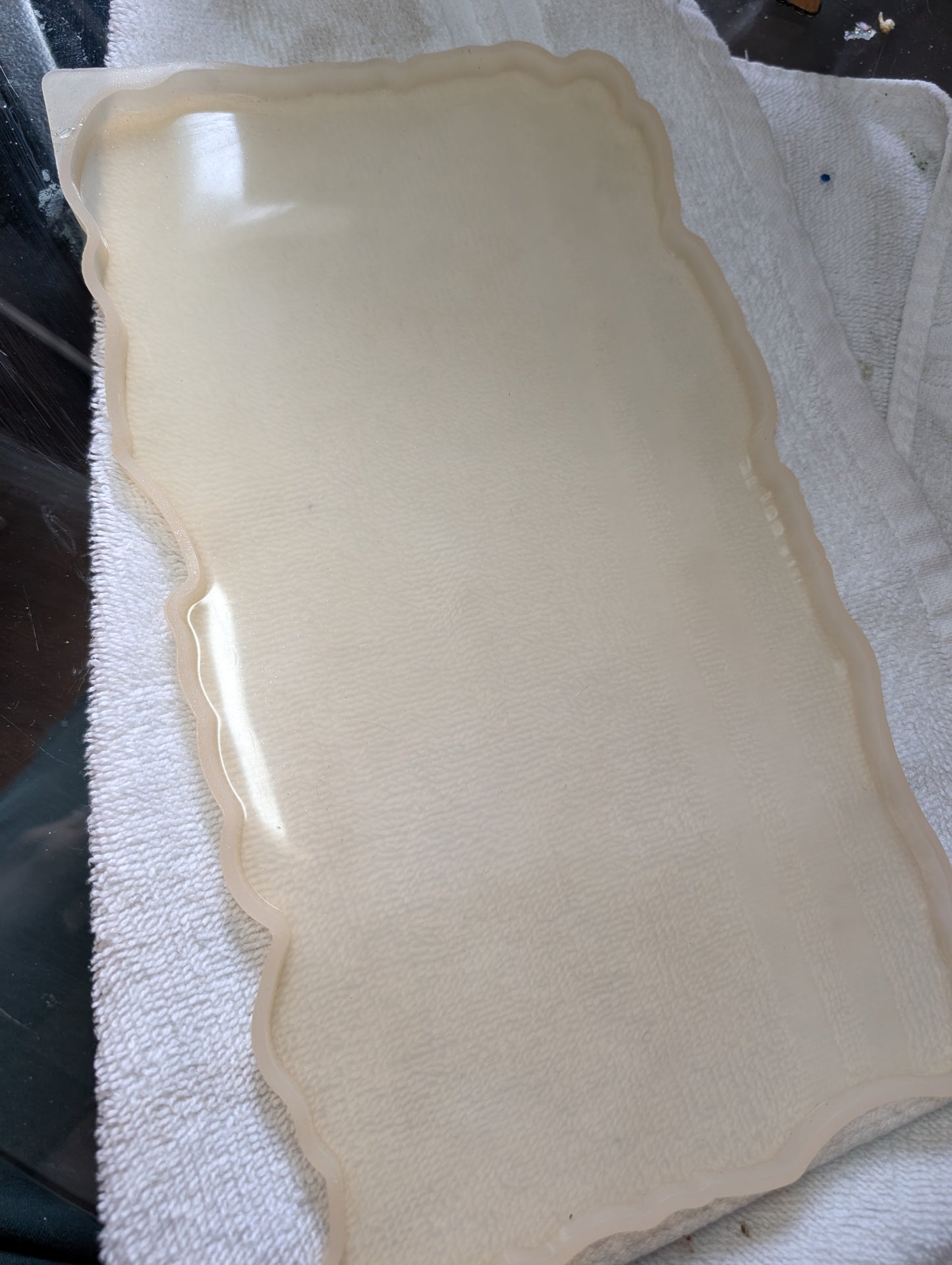 Large Tray Resin Silicone Mold