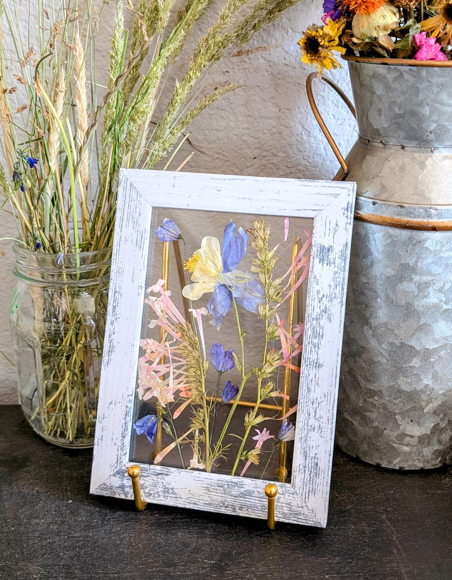 Colorado Columbine Wildflower Window
