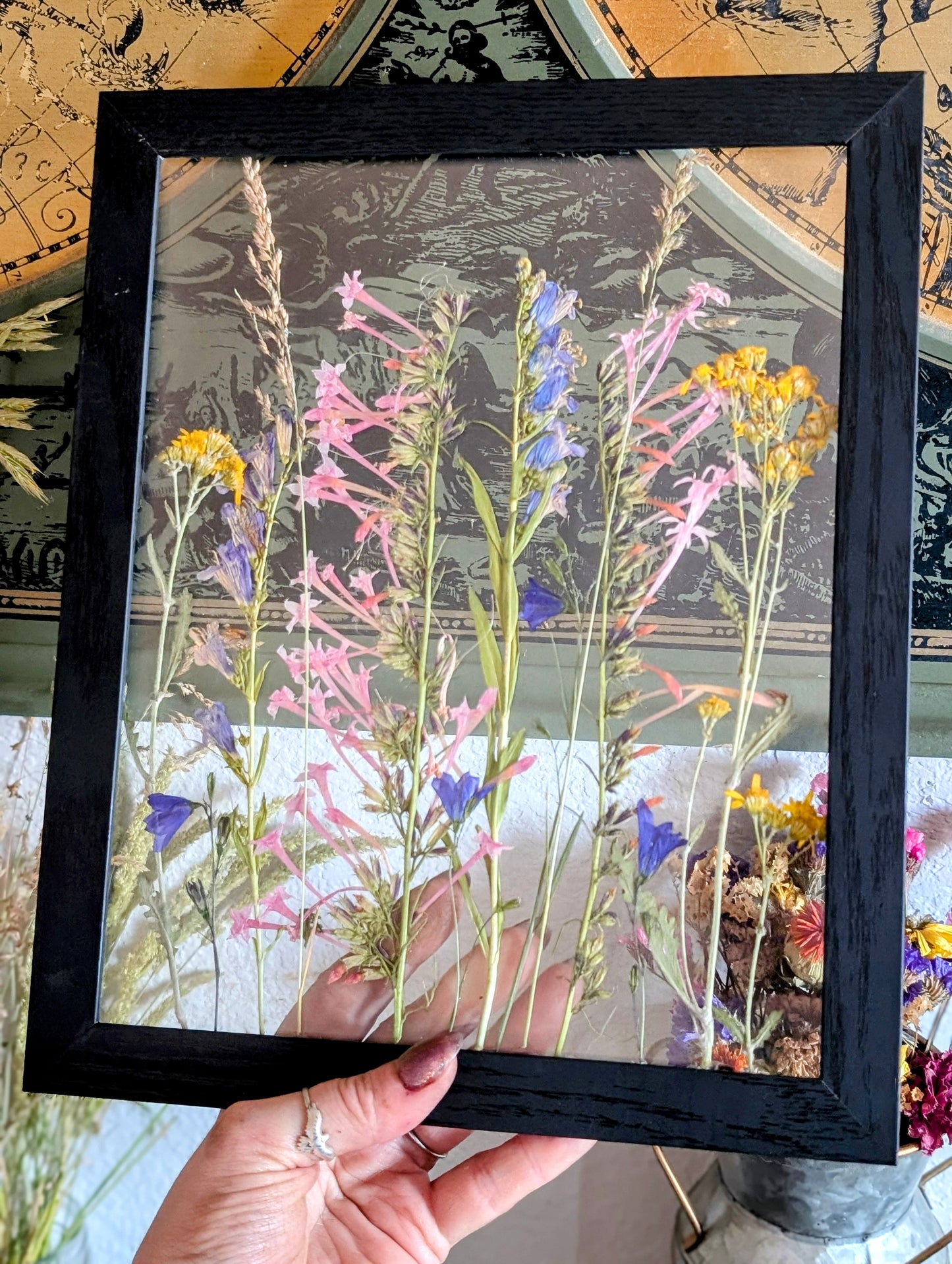 Columbine Wildflower Window