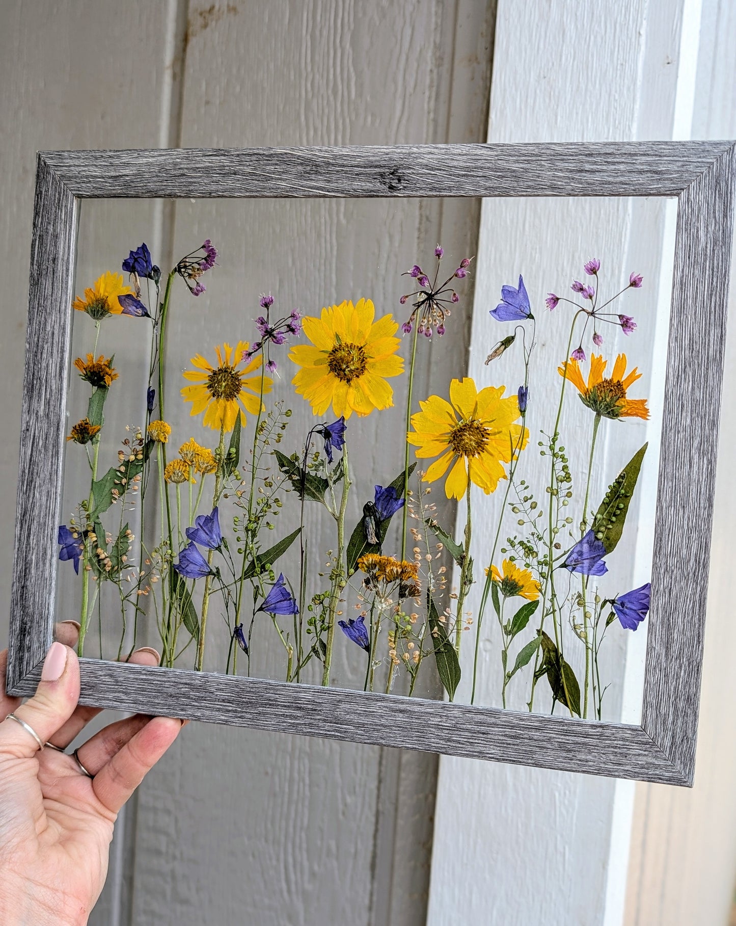 Colorado Wildflower Window Statement Piece
