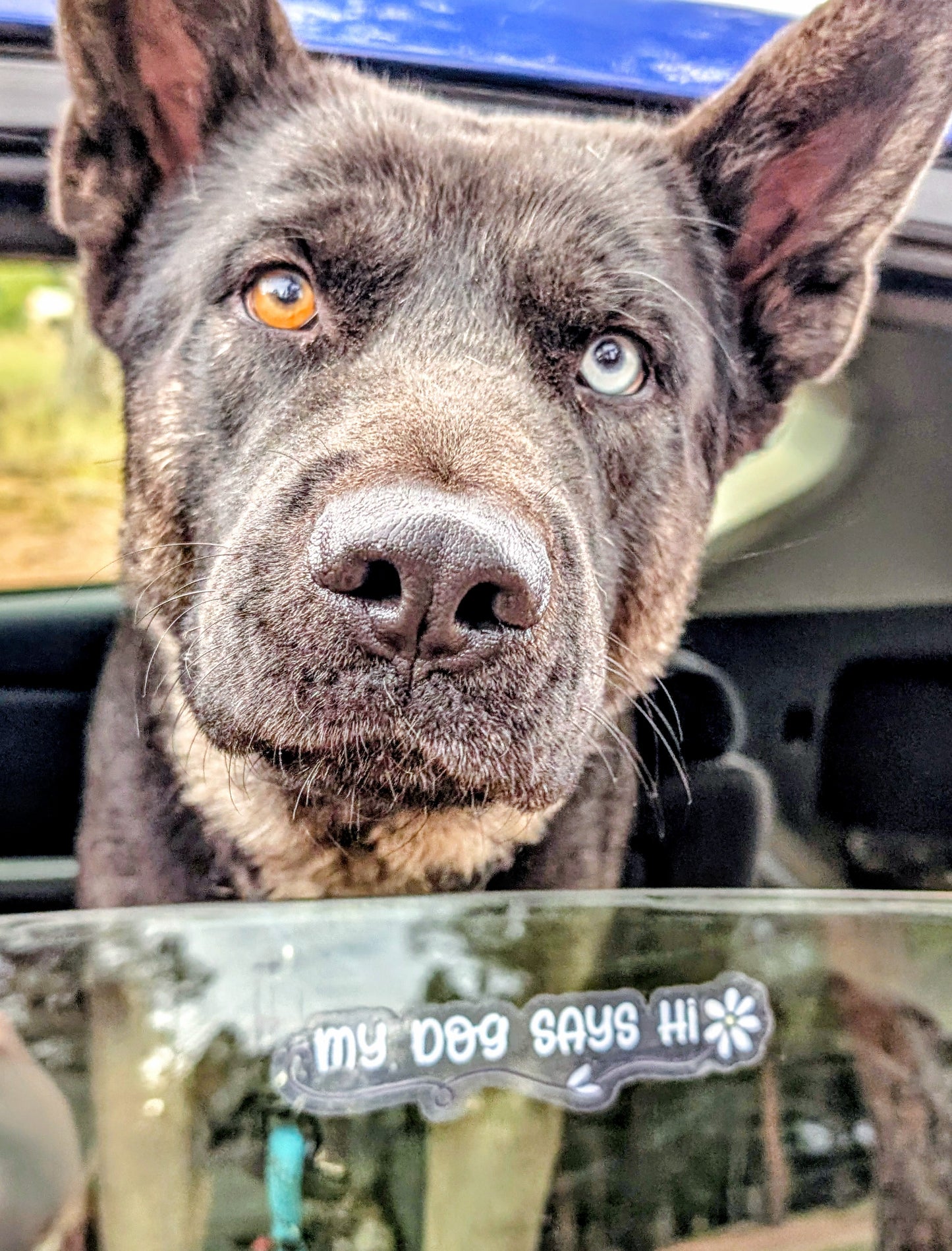 Dog Lover Clear Vinyl Bumper Sticker