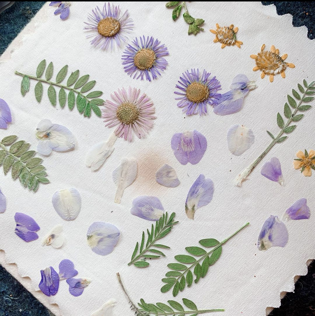 Wild Sage Magical Pressed Flower Wildflower Earrings with Sterling Silver