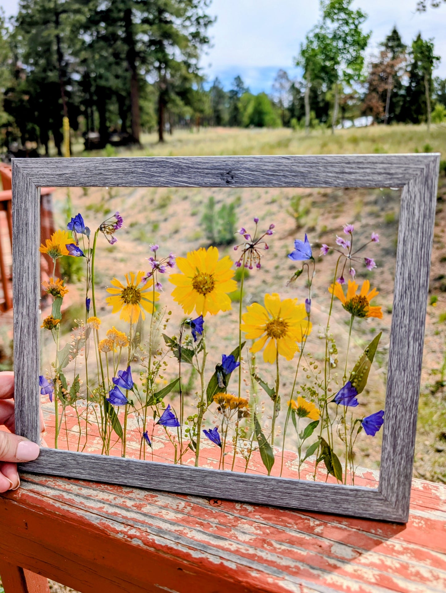 Colorado Wildflower Window Statement Piece