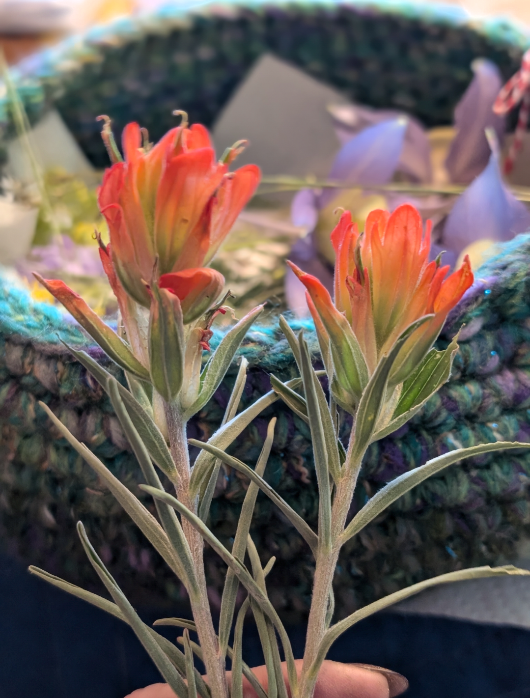Colorado Wildflower Window Statement Piece