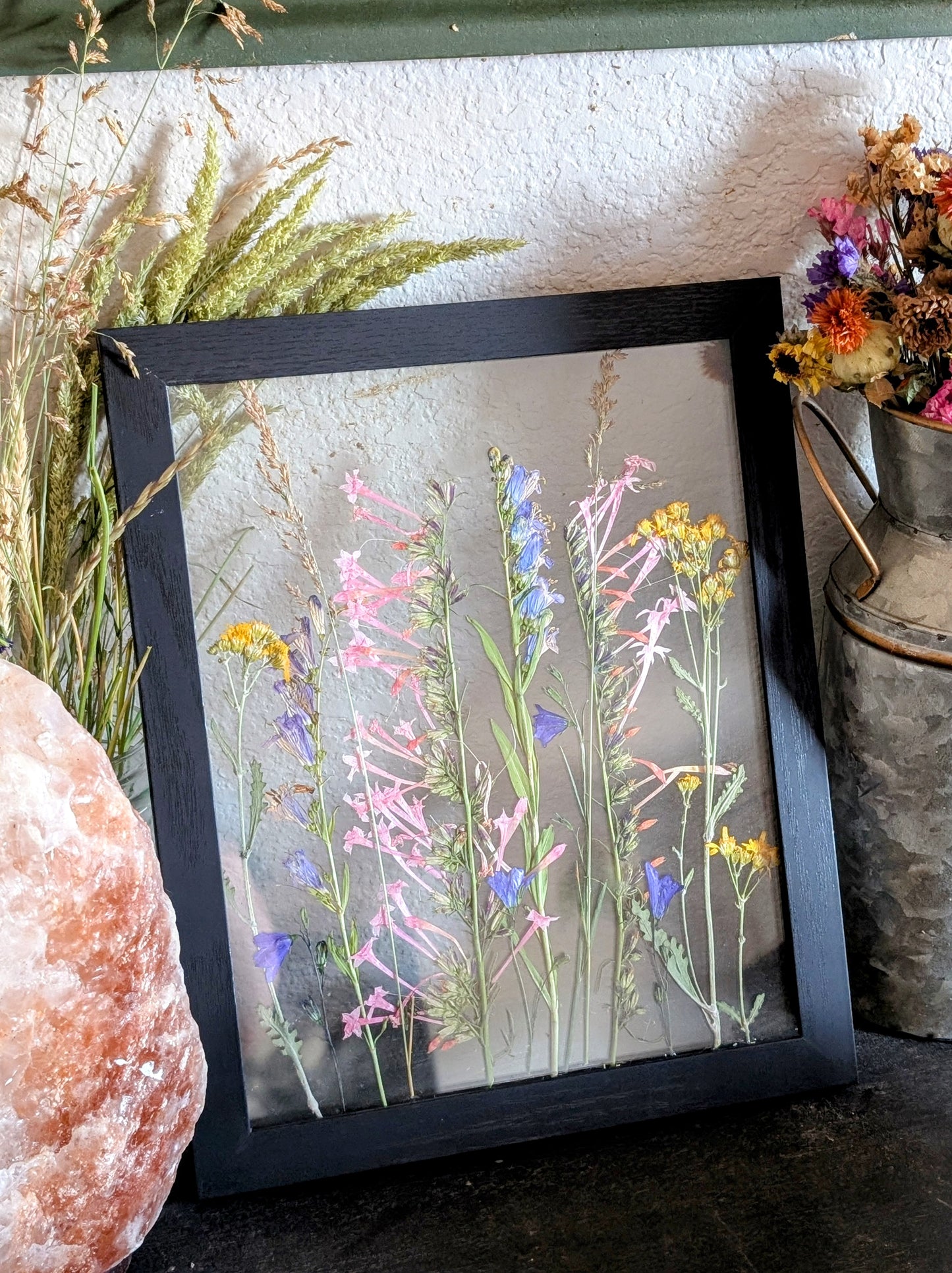 Columbine Wildflower Window
