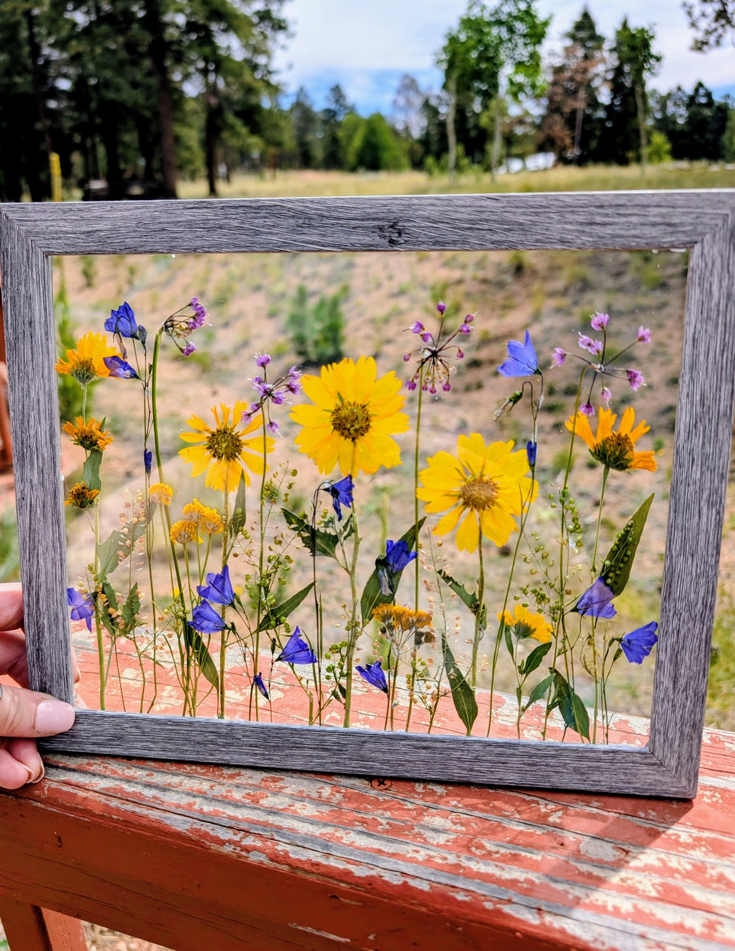 Colorado Wildflower Window Statement Piece