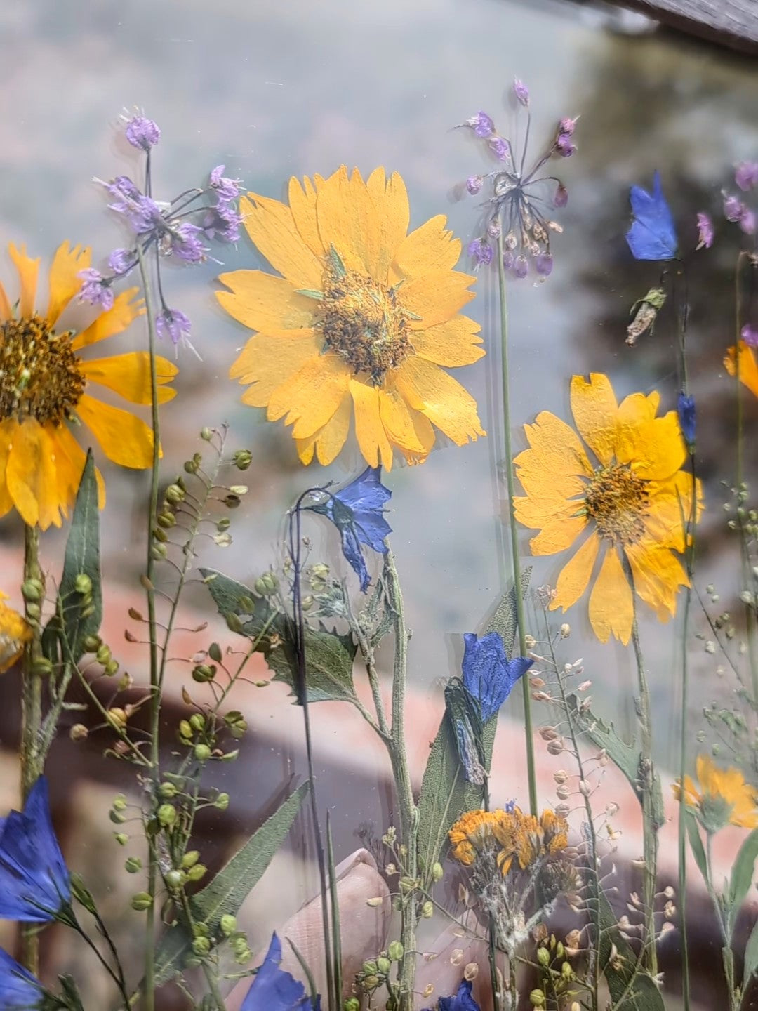 Colorado Wildflower Window Statement Piece