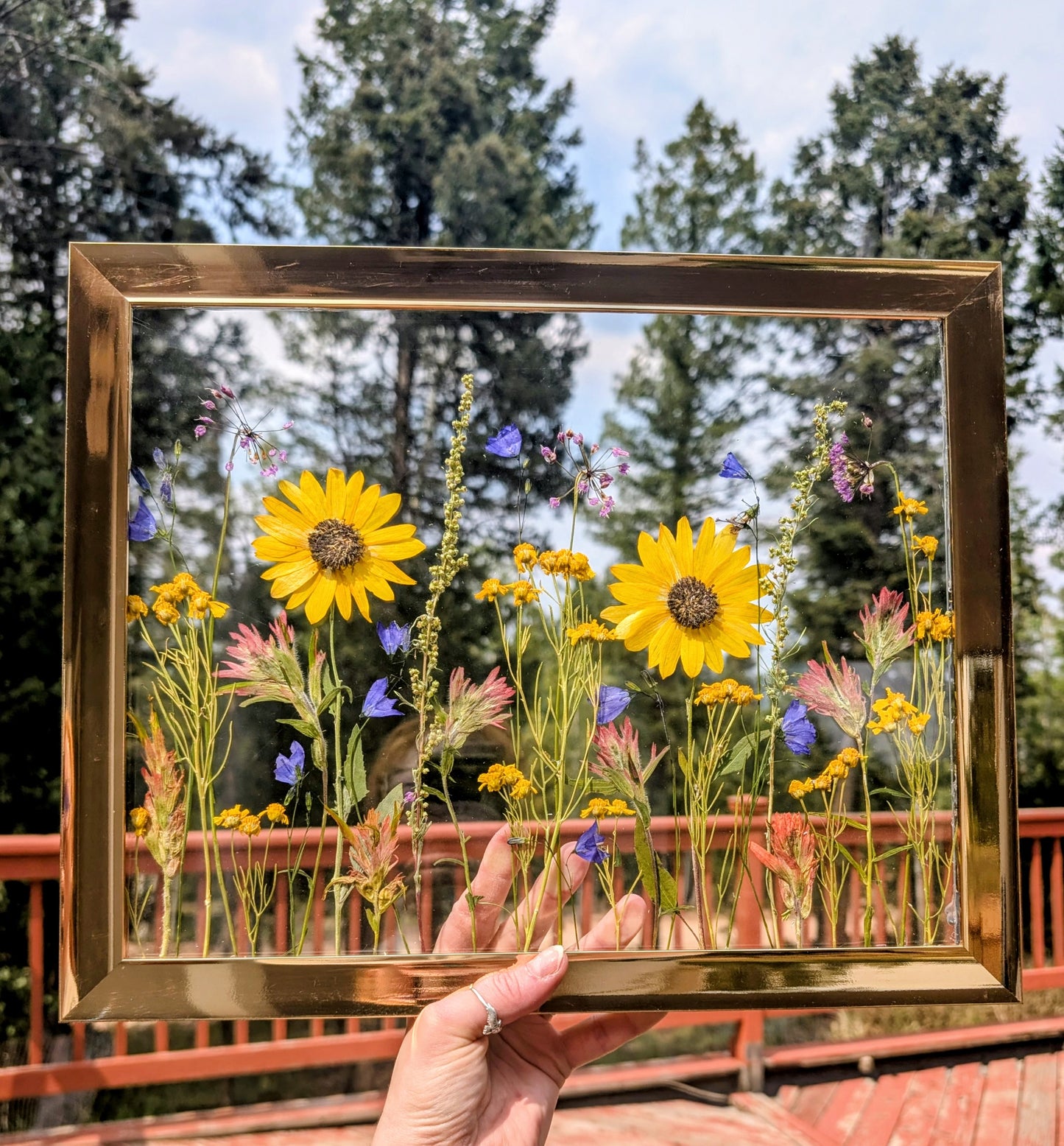 Custom Colorado Wildflower Window Framed Floral Artwork