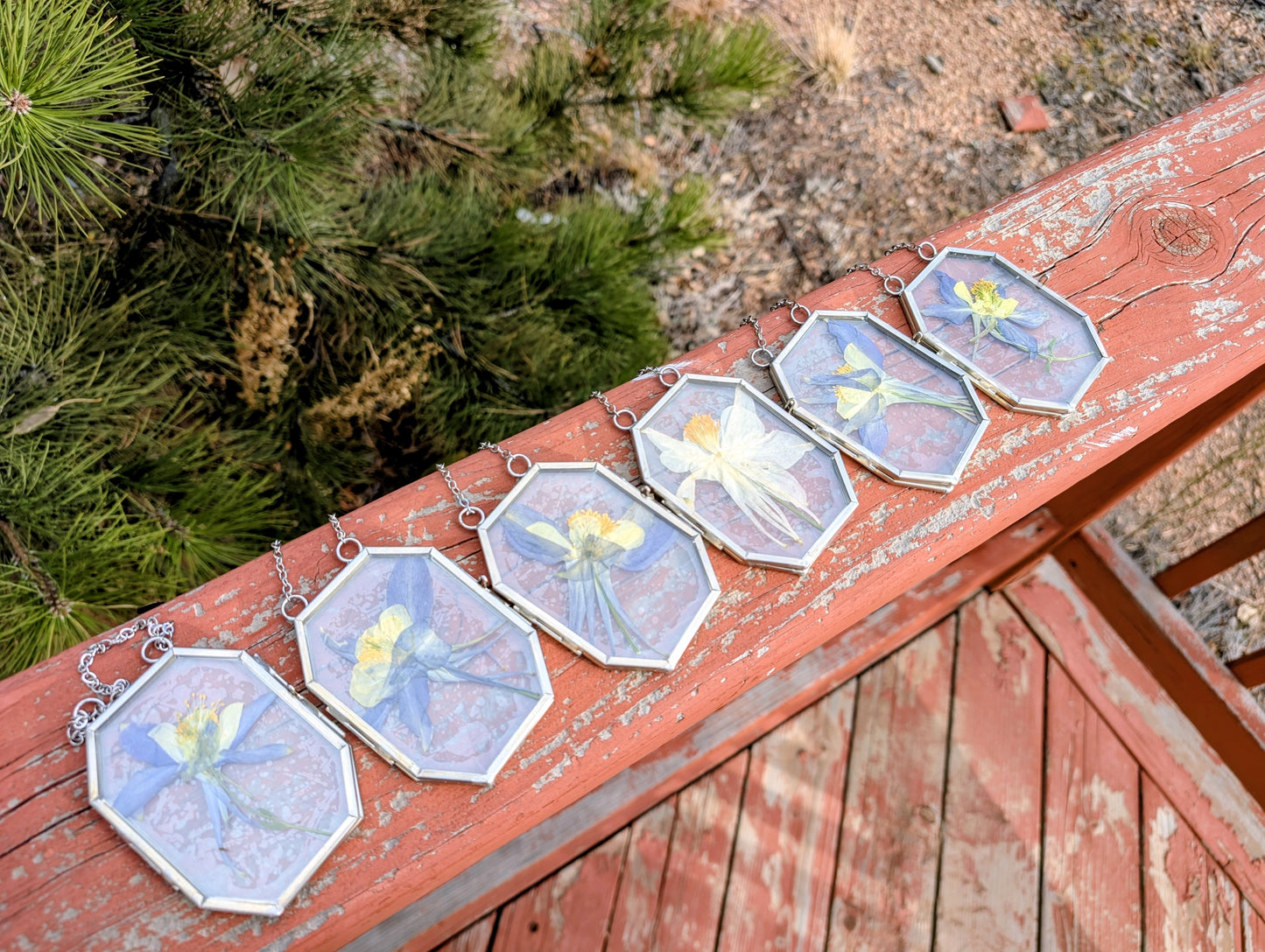 Columbine Wildflower Ornaments
