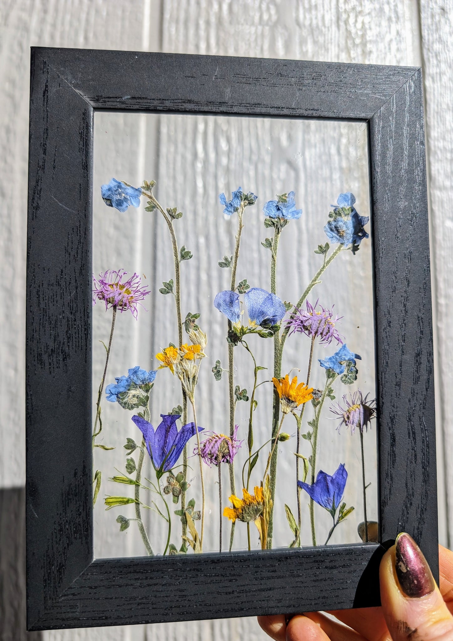 Custom Colorado Wildflower Window Framed Floral Artwork