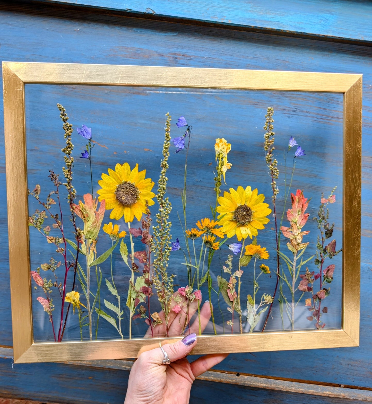 Custom Colorado Wildflower Window Framed Floral Artwork
