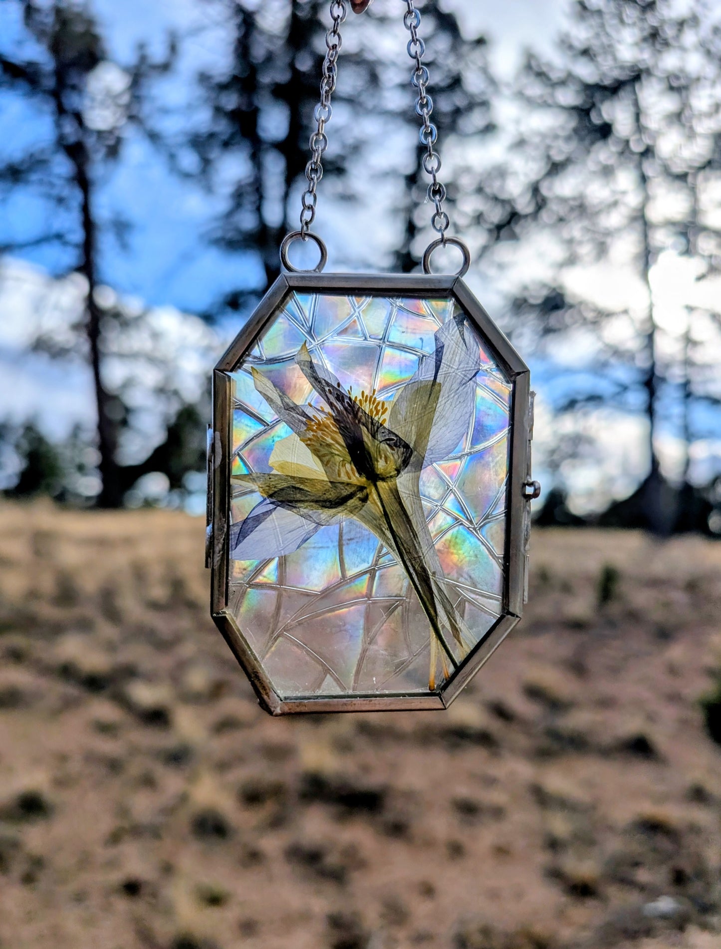 Columbine Wildflower Ornaments