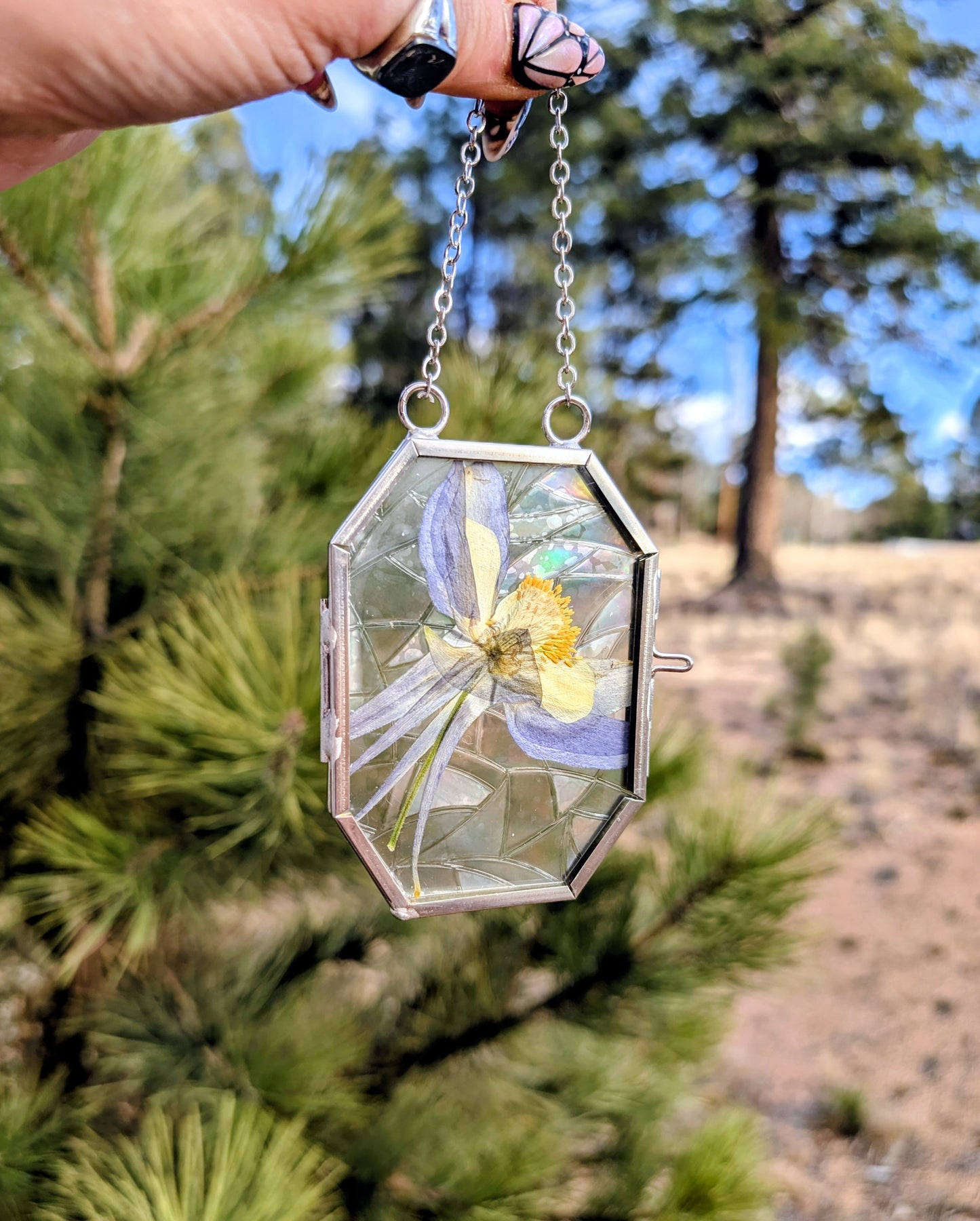 Columbine Wildflower Ornaments