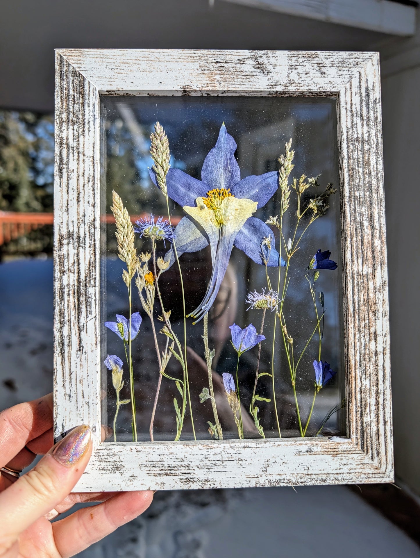 Custom Colorado Wildflower Window Framed Floral Artwork