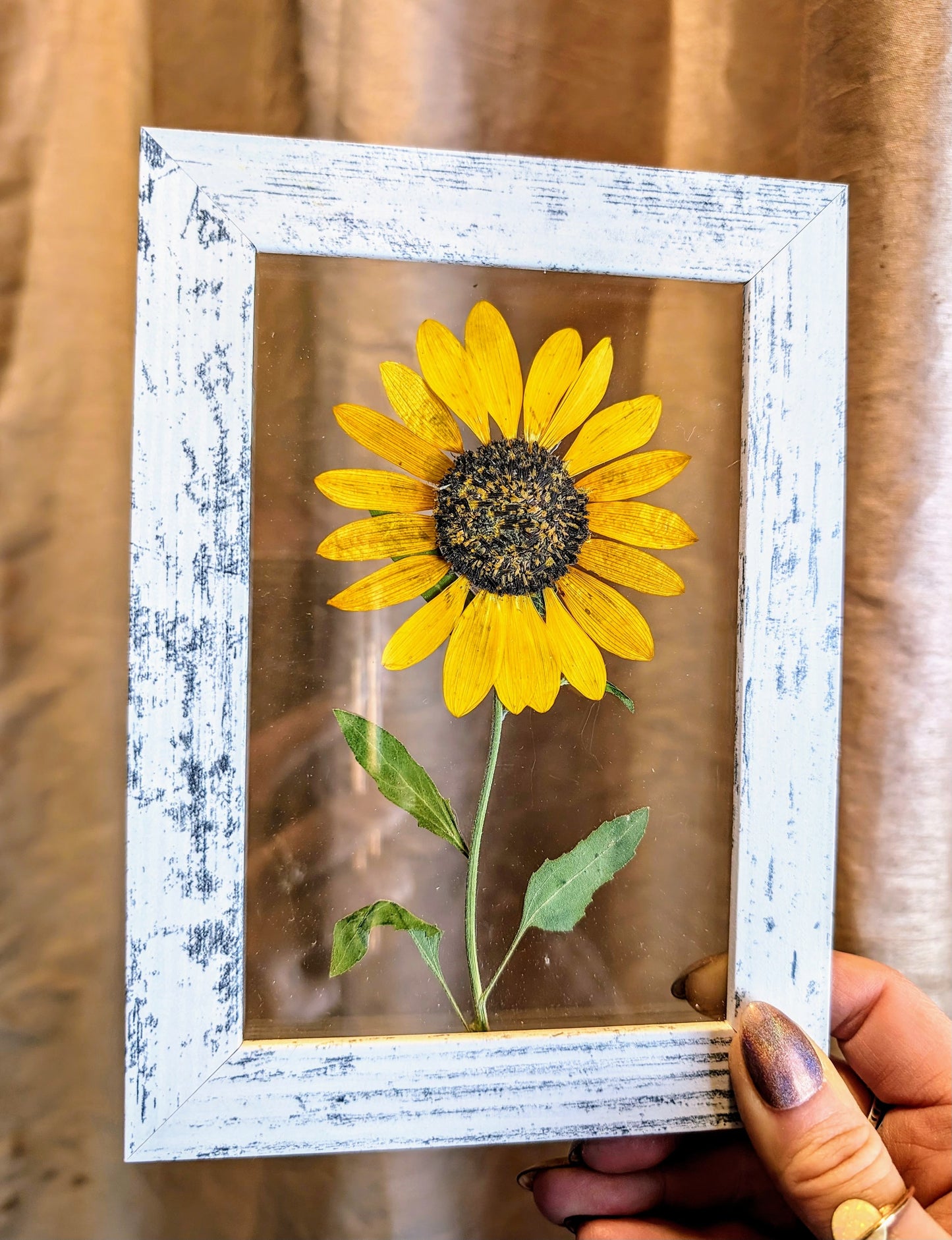 Custom Colorado Wildflower Window Framed Floral Artwork