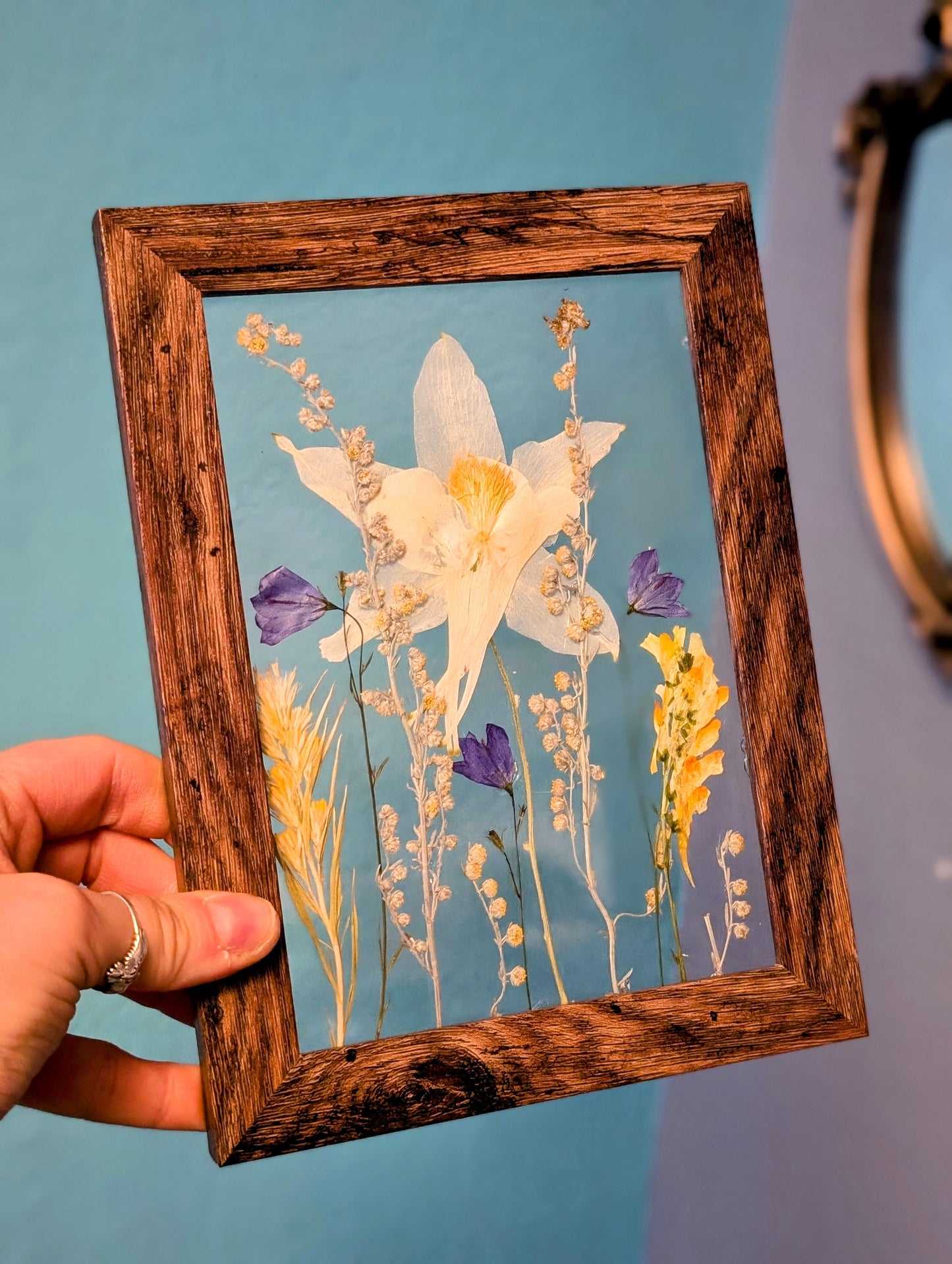 Custom Colorado Wildflower Window Framed Floral Artwork