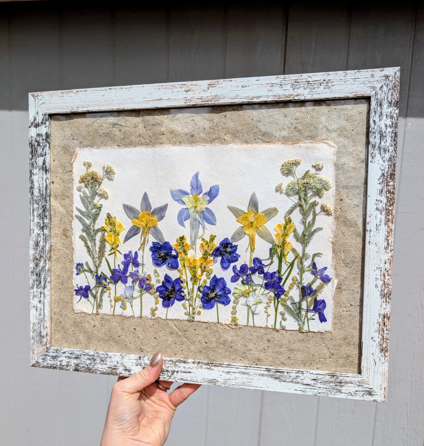Colorado Wildflower Window Columbine Statement Piece