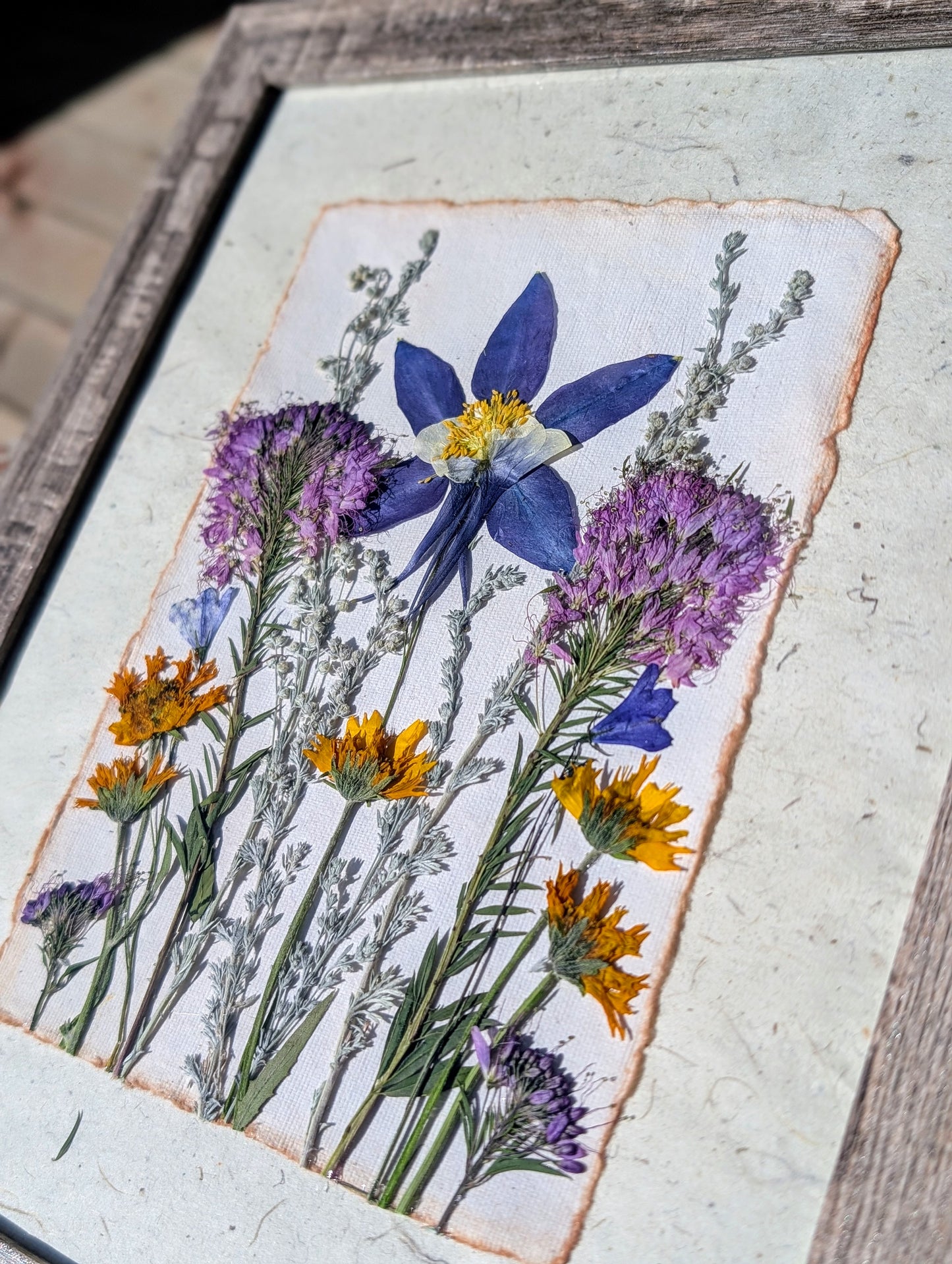 Colorado Wildflower Window Columbine Statement Piece