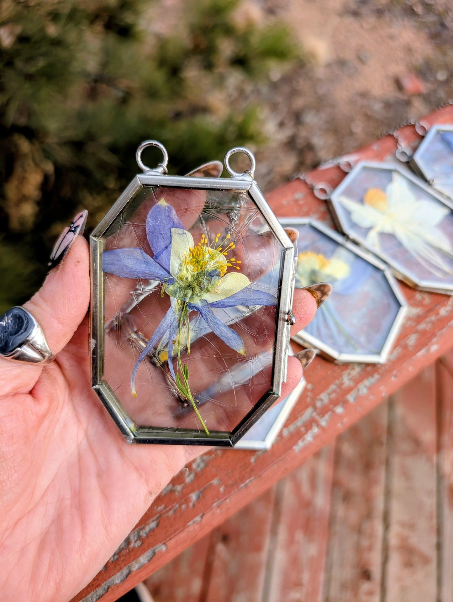 Columbine Wildflower Ornaments