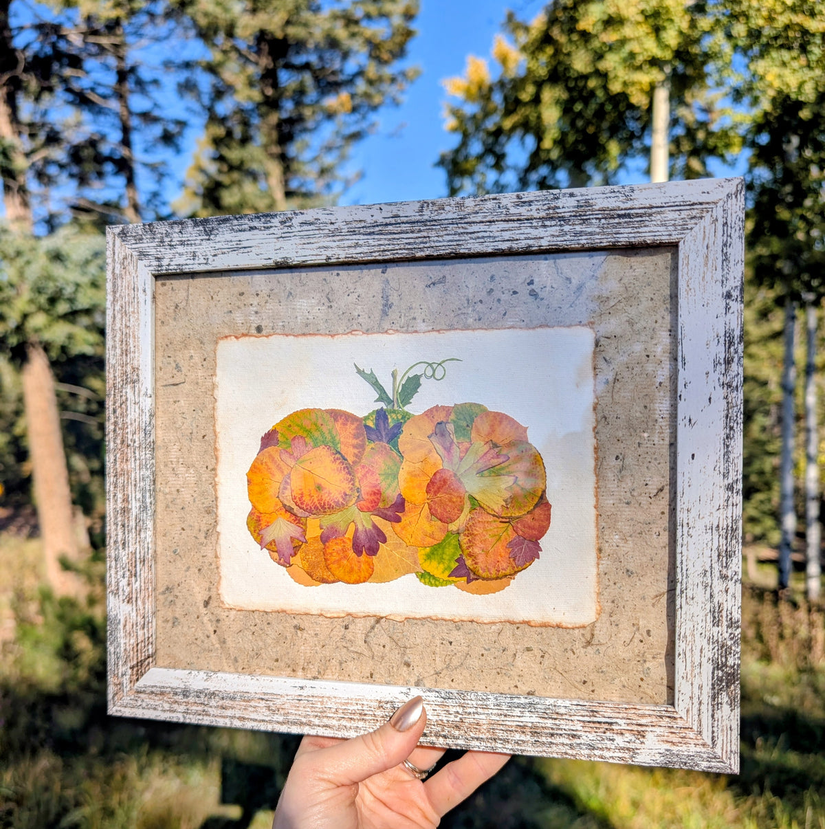 Colorado Wildflower Window Autumn Pumpkin Aspen Statement Piece