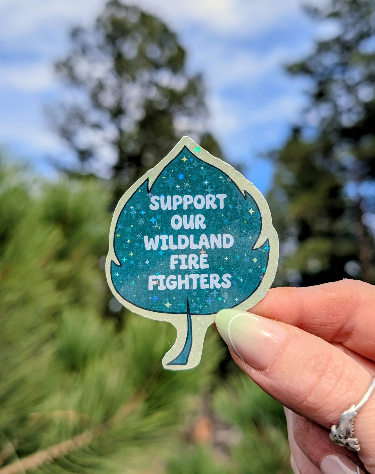 Support Wildland Firefighters, Climate Change, Protect Our Public Lands Glitter Vinyl Sticker