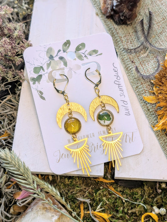 Wild Sunflower Magical Pressed Flower Wildflower Earrings with 14k Gold