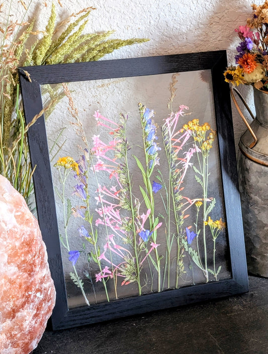 Columbine Wildflower Window