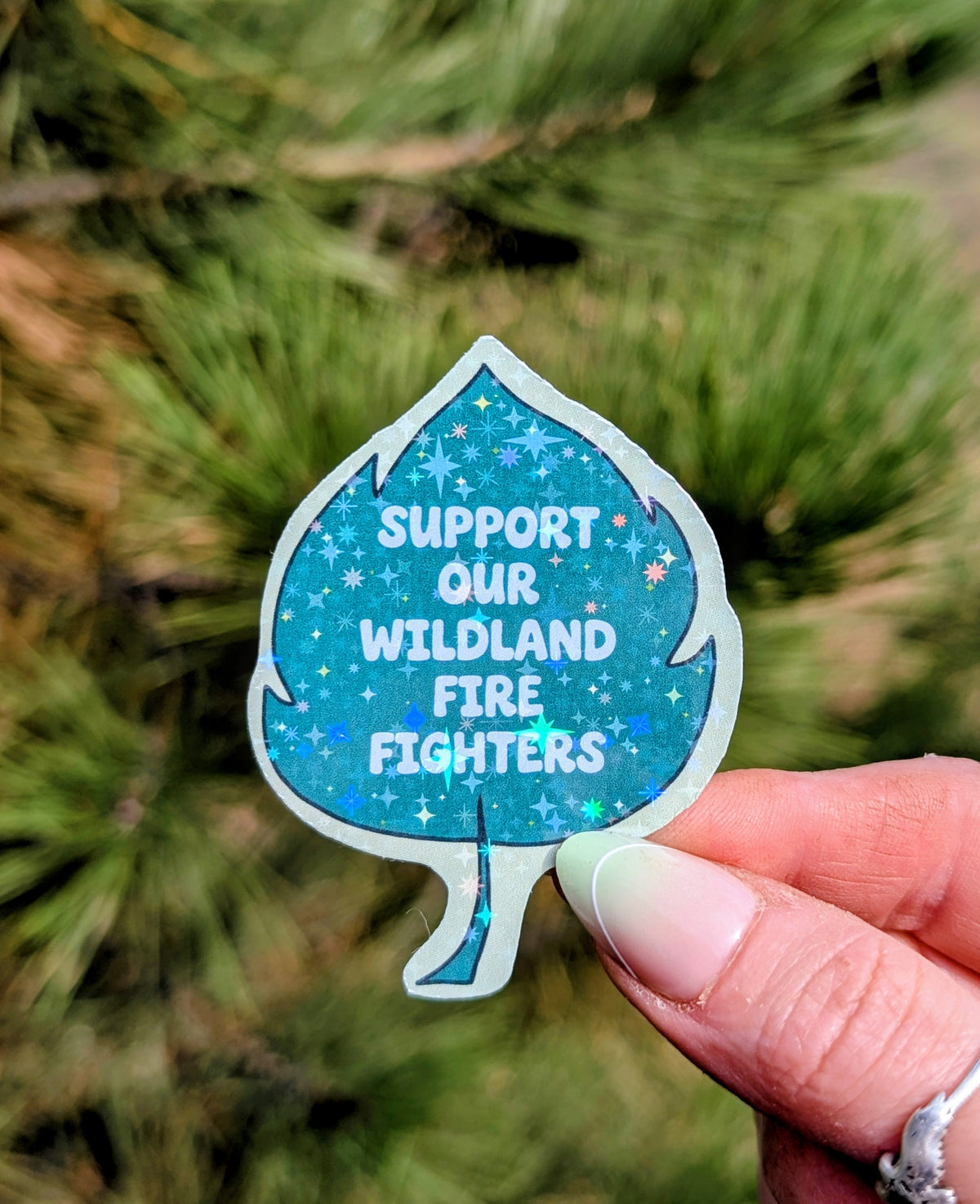 Support Wildland Firefighters, Climate Change, Protect Our Public Lands Glitter Vinyl Sticker