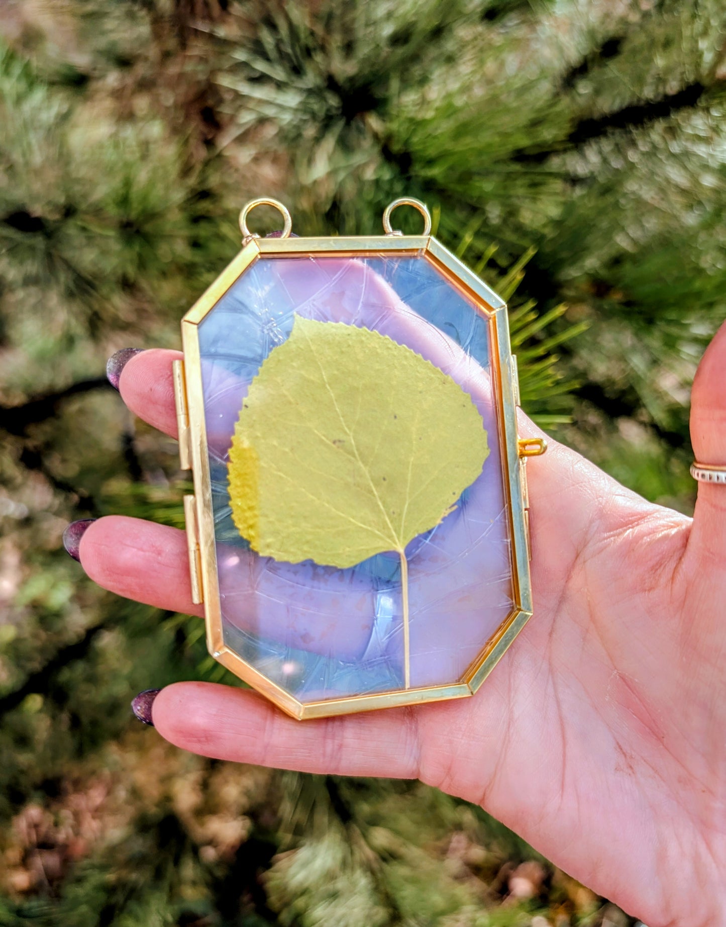 Aspen Leaf Ornaments
