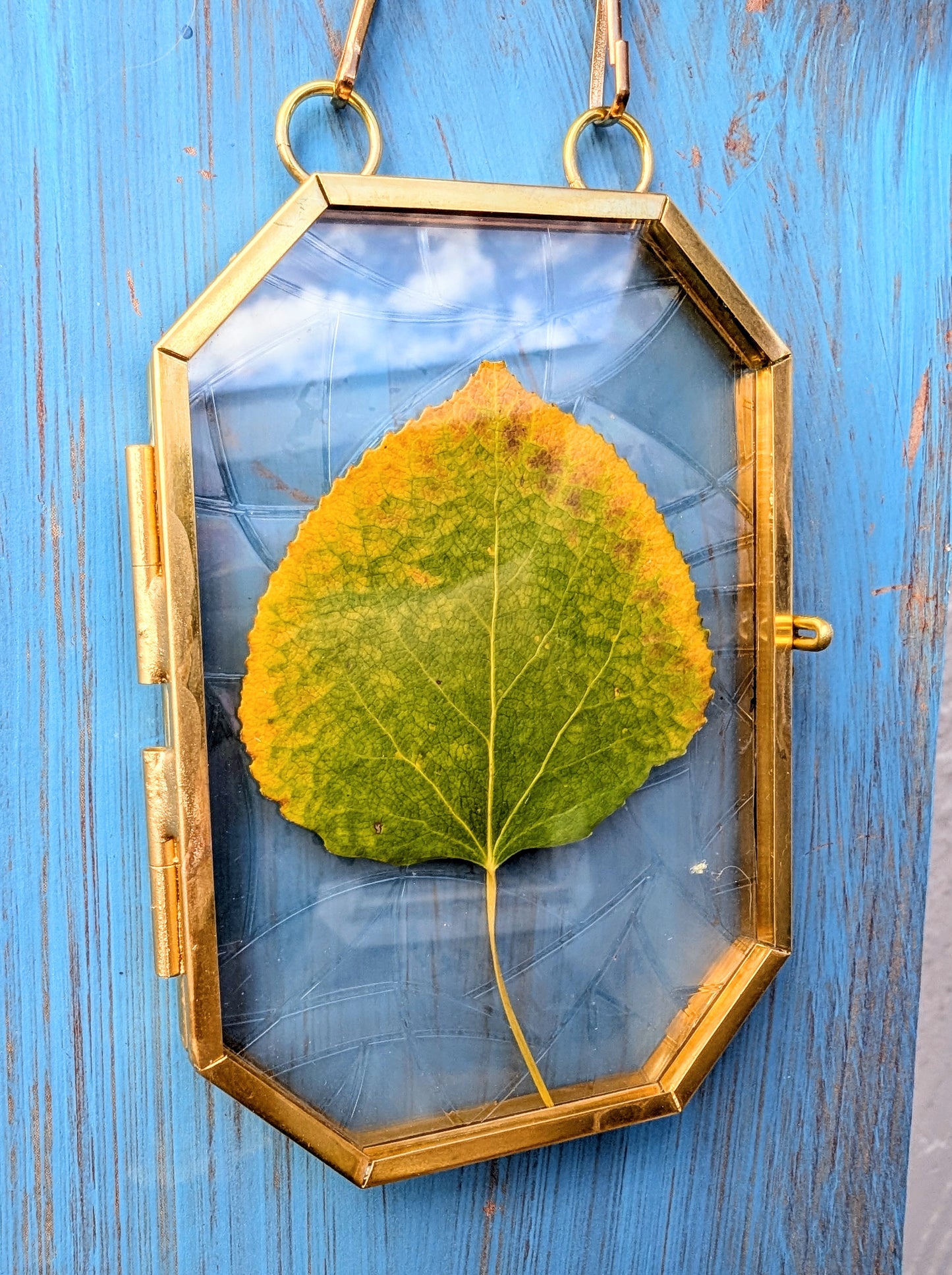 Aspen Leaf Ornaments
