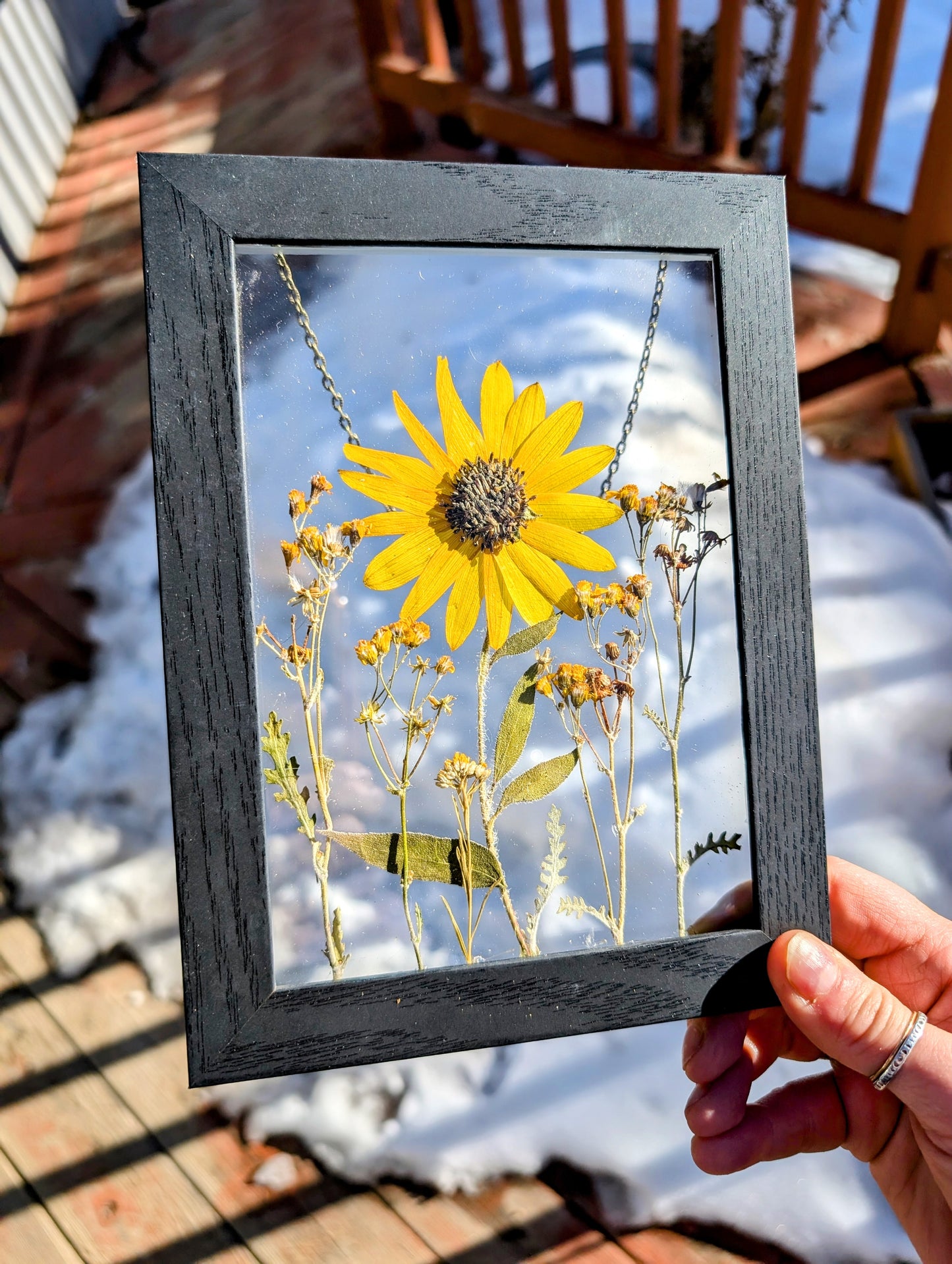 Sunflower Mix Wildflower Window