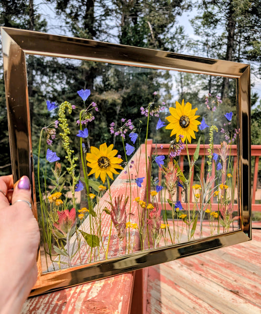 Custom Colorado Wildflower Window Statement Piece