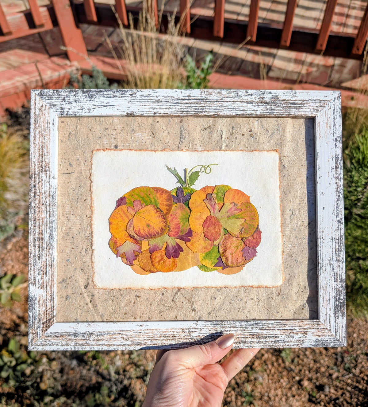 Colorado Wildflower Window Autumn Pumpkin Aspen Statement Piece