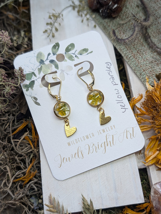 Yellow Parsley Magical Pressed Flower Wildflower Earrings with 14k Gold