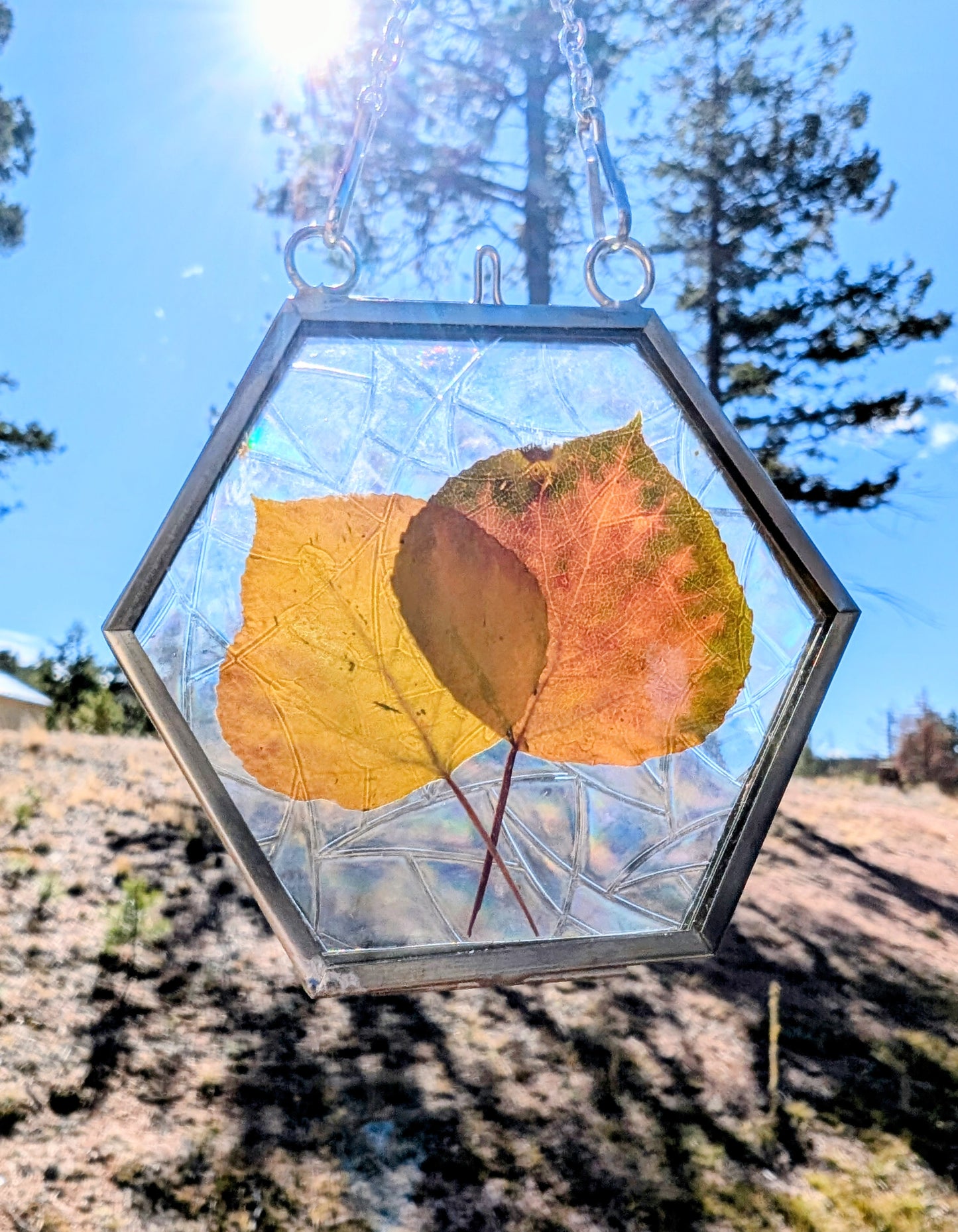 Aspen Leaf Ornaments