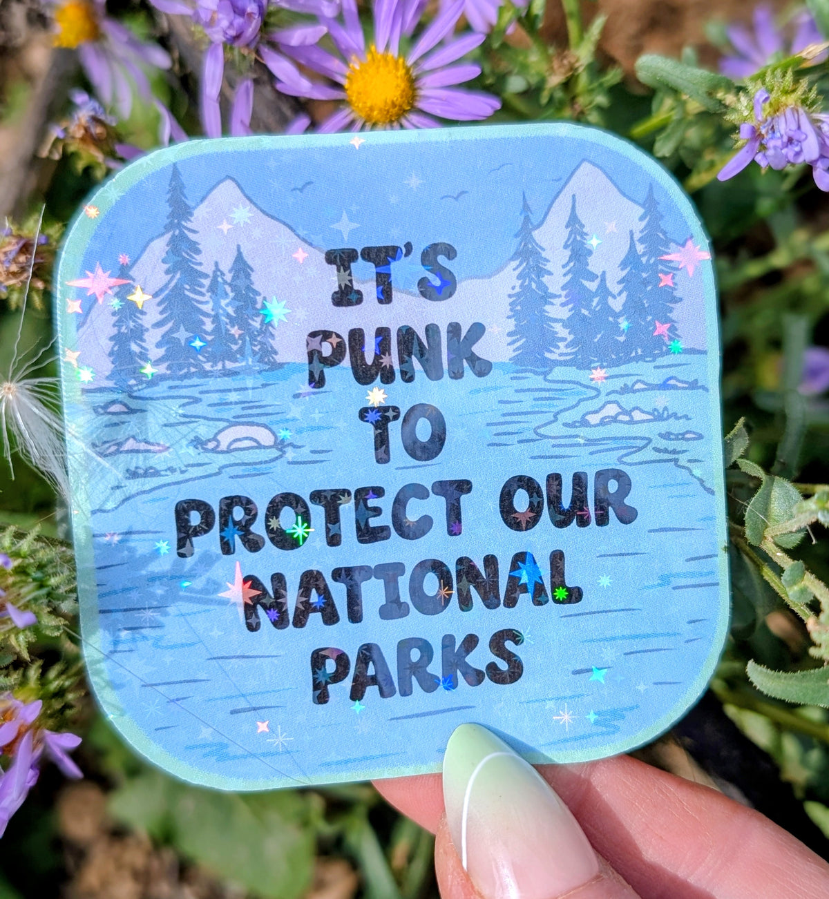 Support Wildland Firefighters, Climate Change, Protect Our Public Lands Glitter Vinyl Sticker, Public Lands