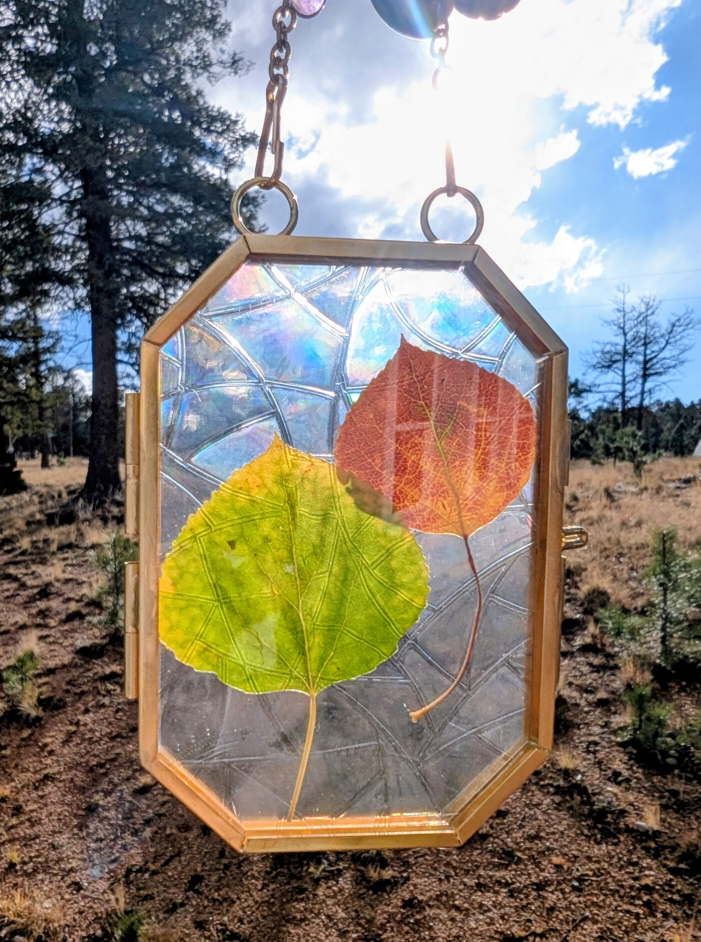Aspen Leaf Ornaments